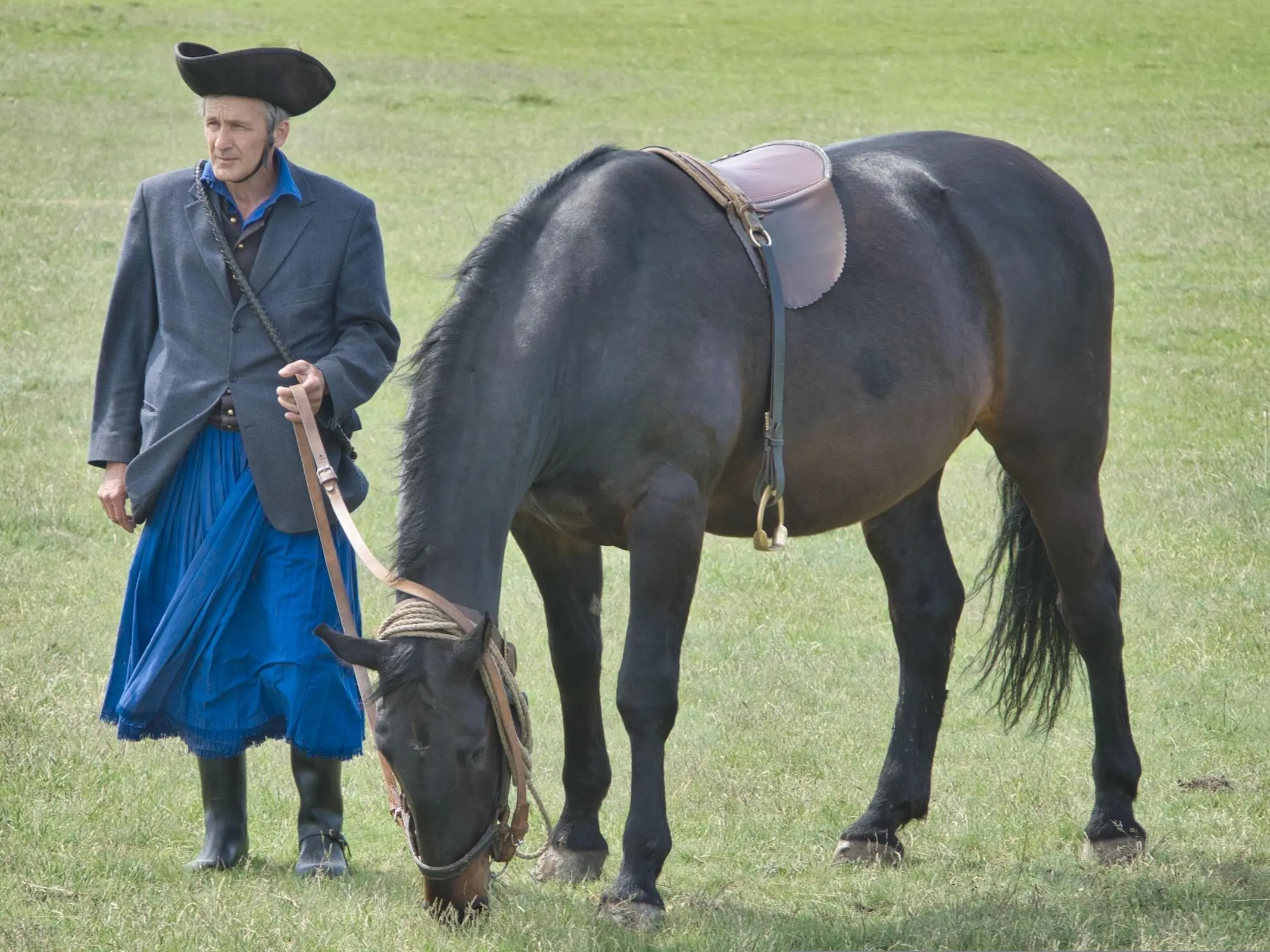Horse with bend or spots
