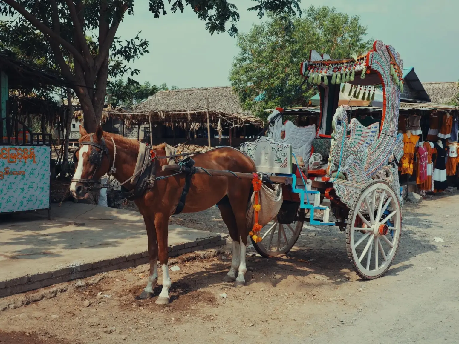 Bhimthadi Horse