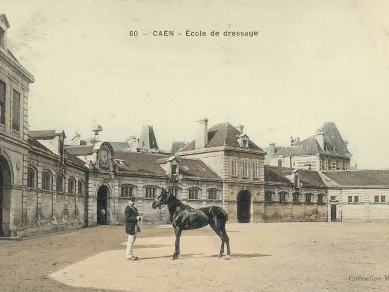 Black Coach Horse of Cotentin