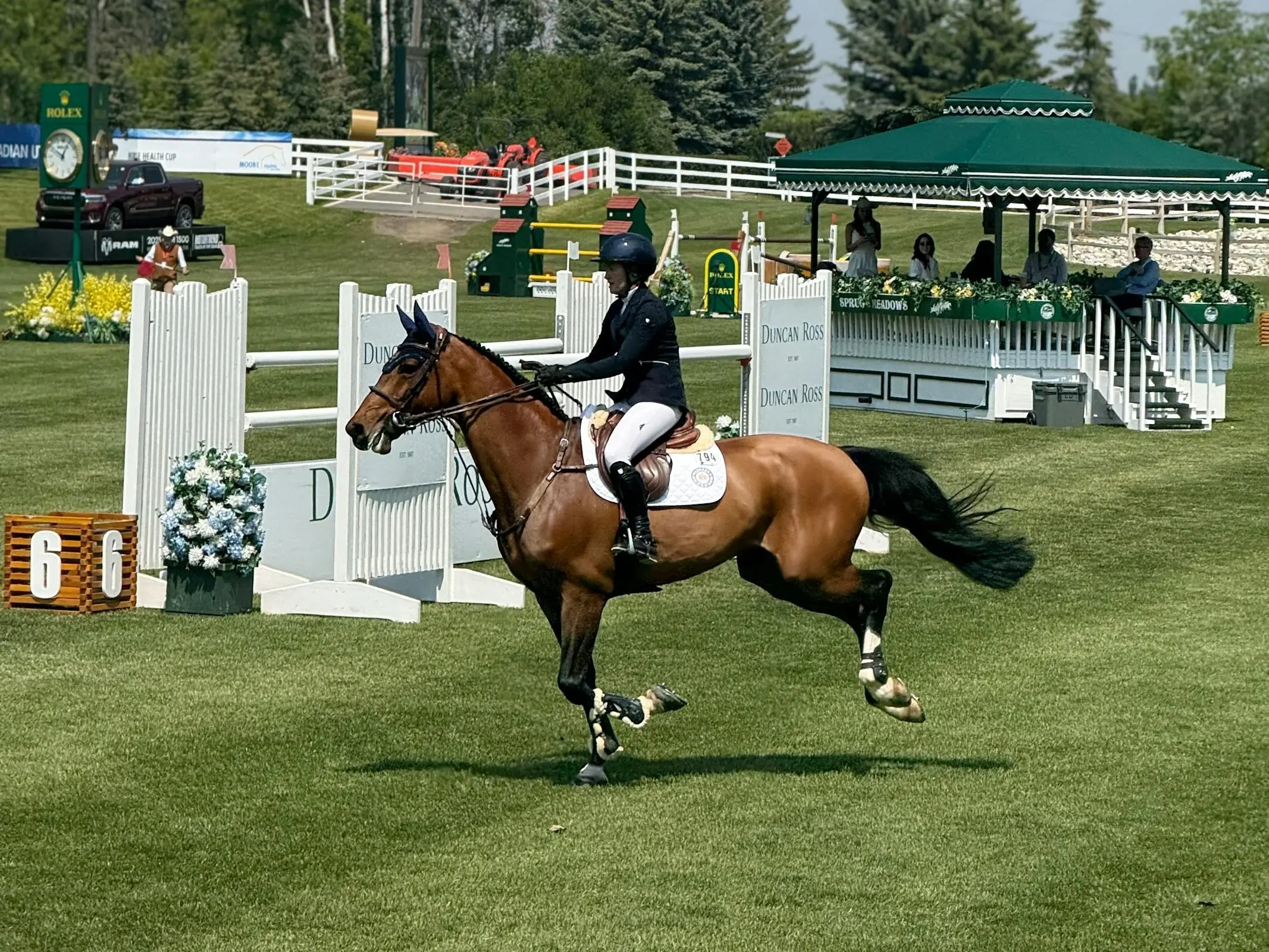 Horse jumping a fence