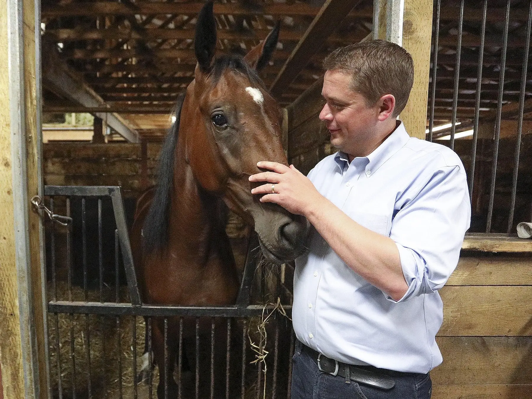 Man with a horse