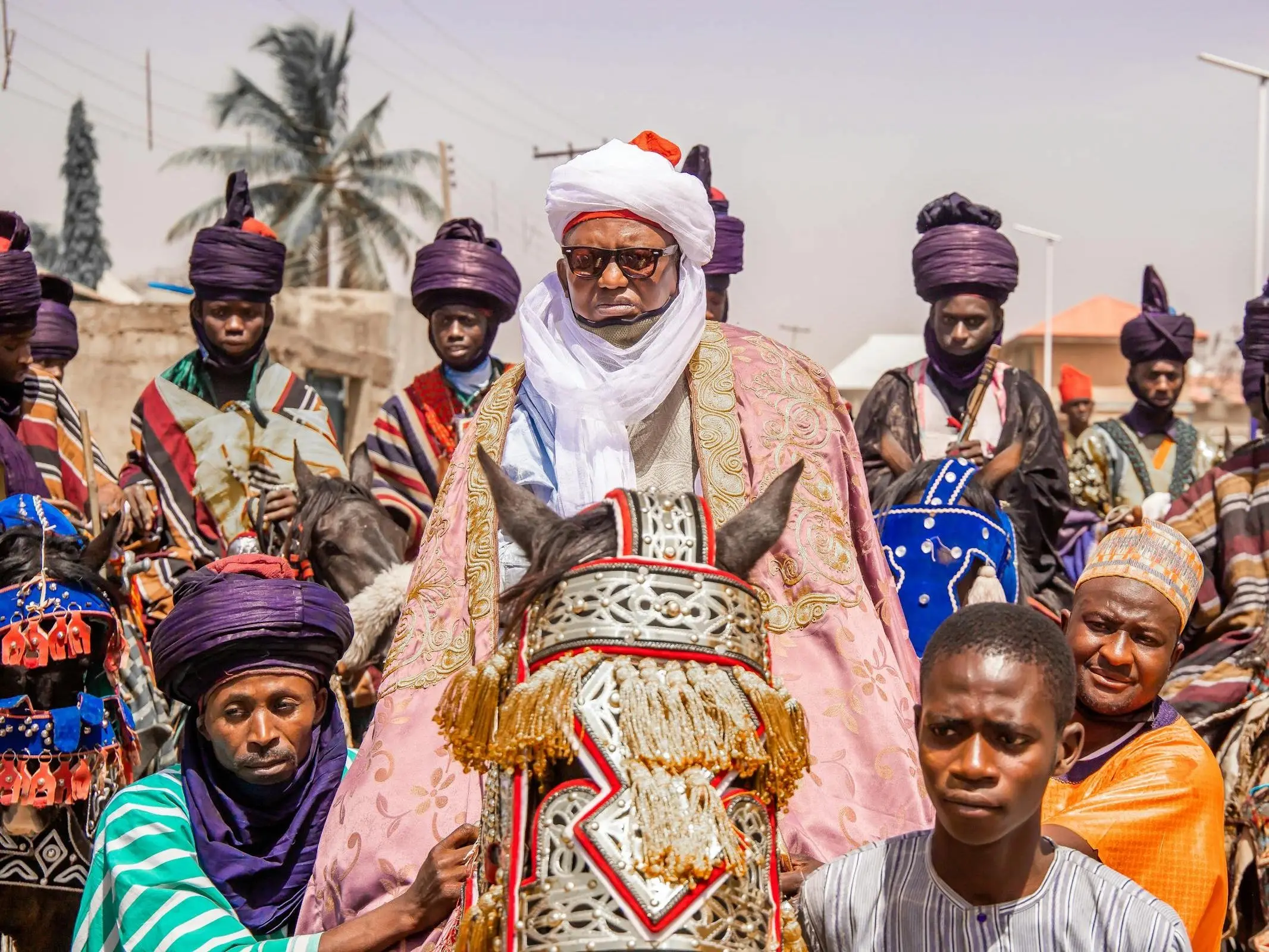 Bornu Horse