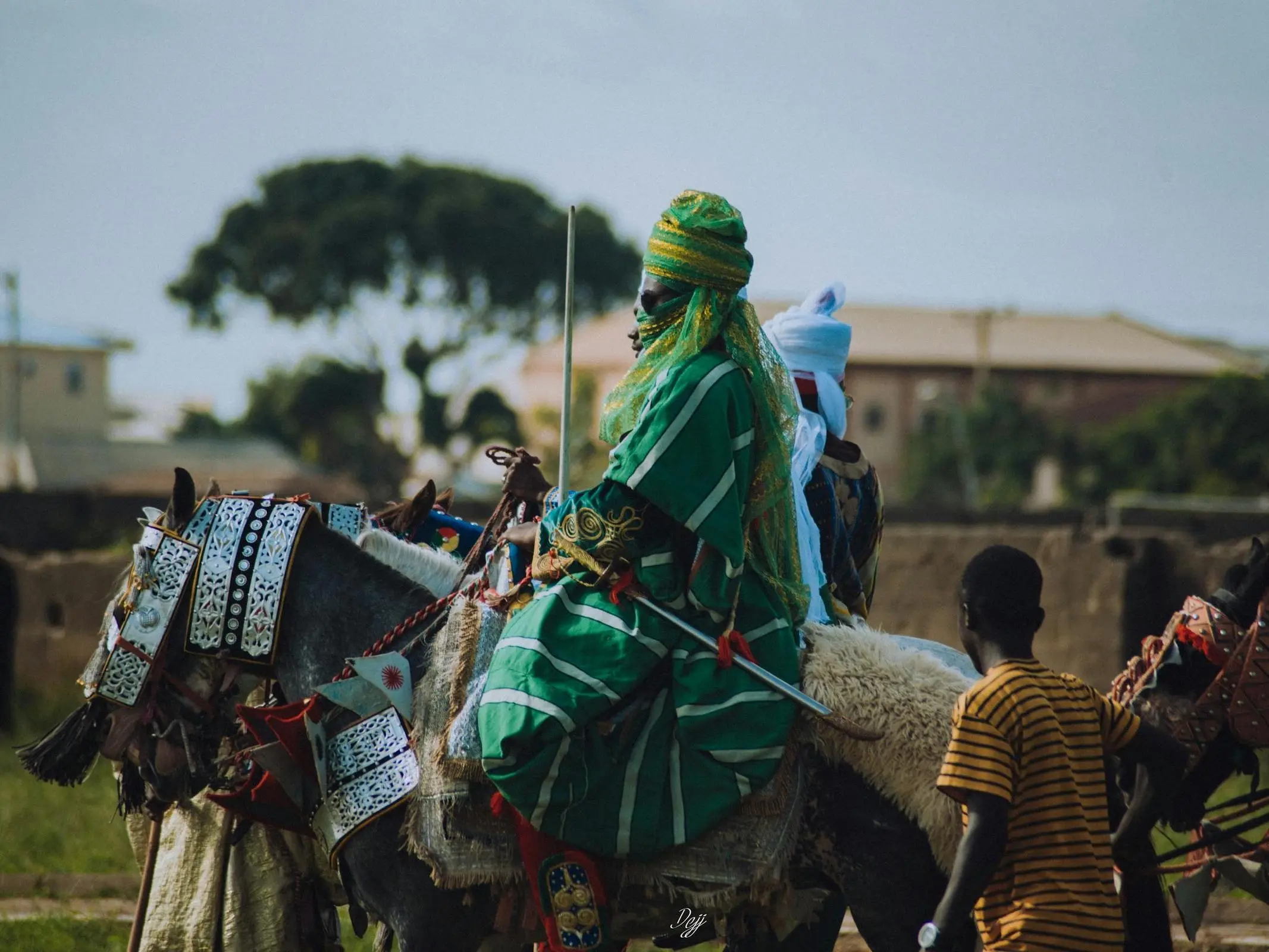 Bornu Horse