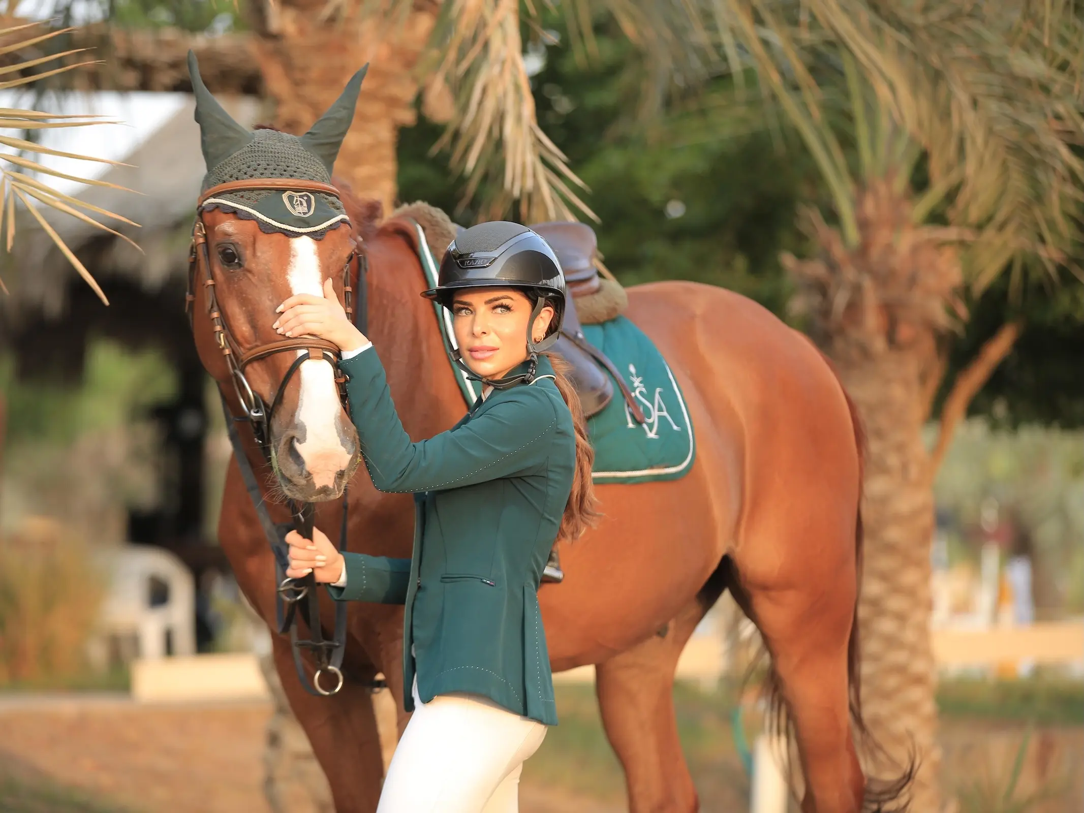 Brazilian Sport Horse