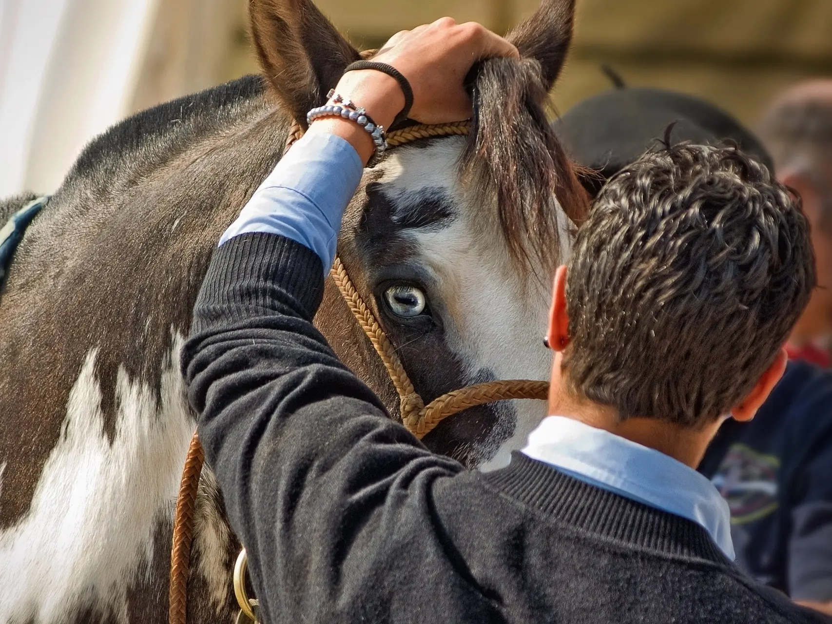 Man standing with a blue eyed horse