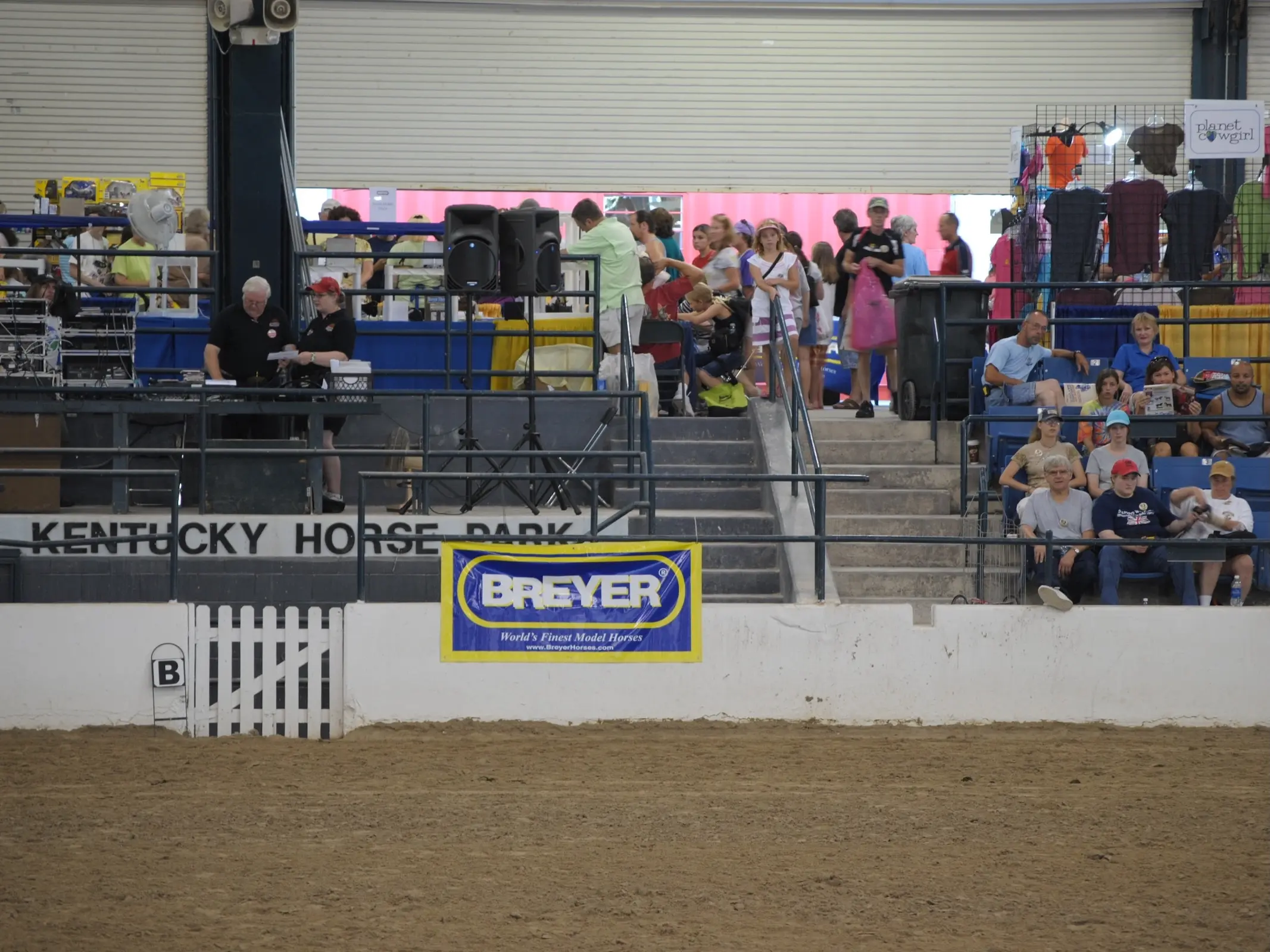 Horse jumping a fence