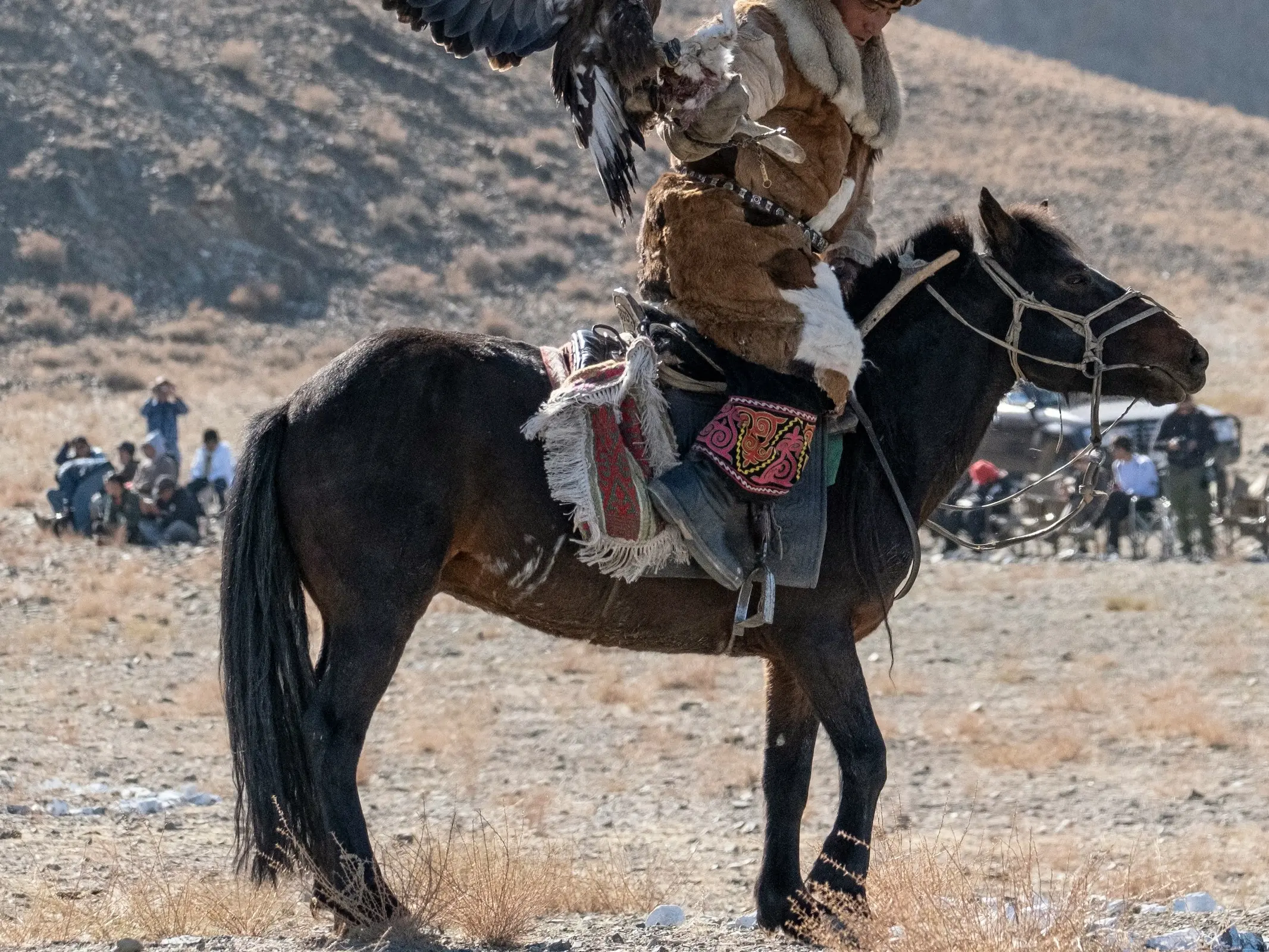 Horse with brindle patterns