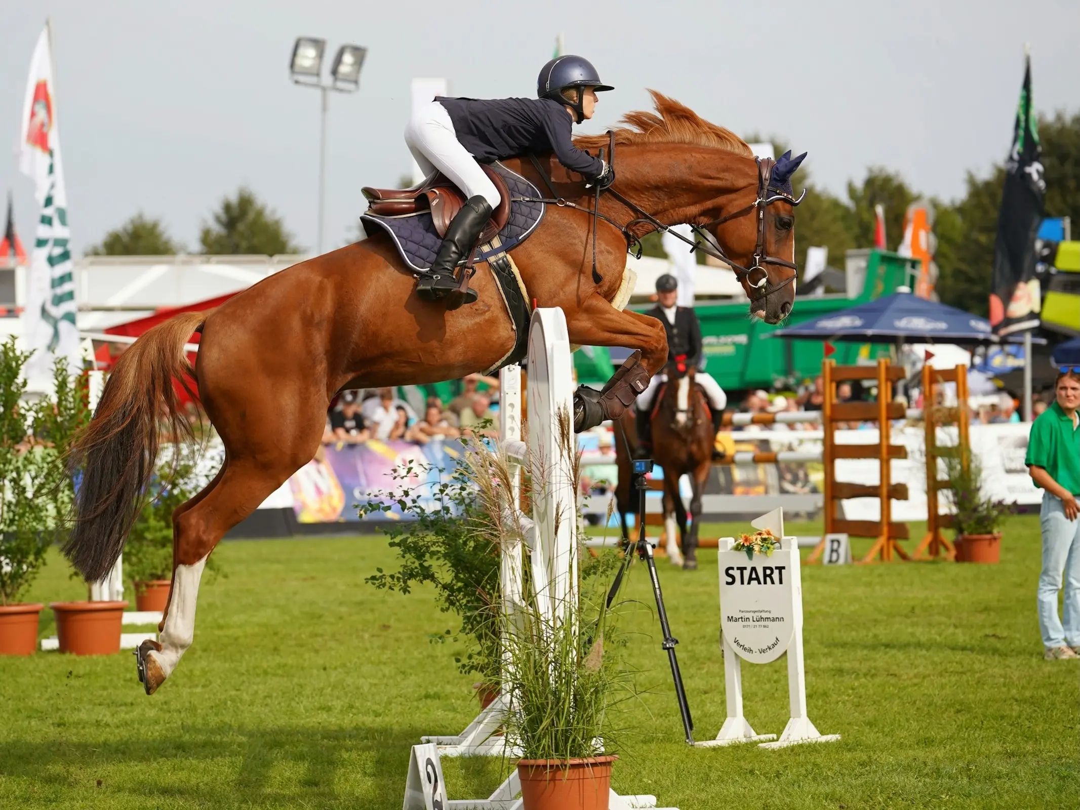 Horse jumping a fence