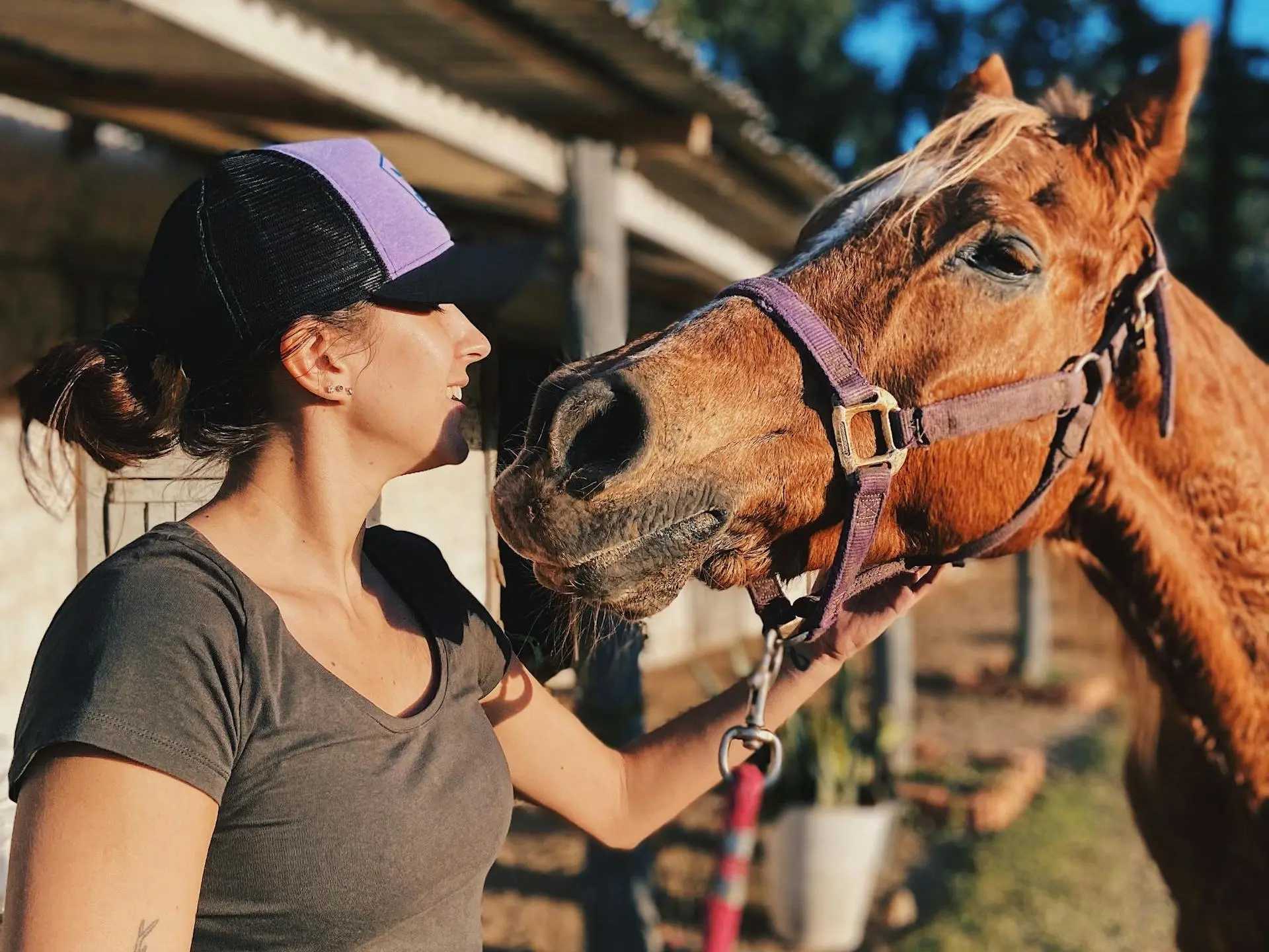 woman smiling with a young horse