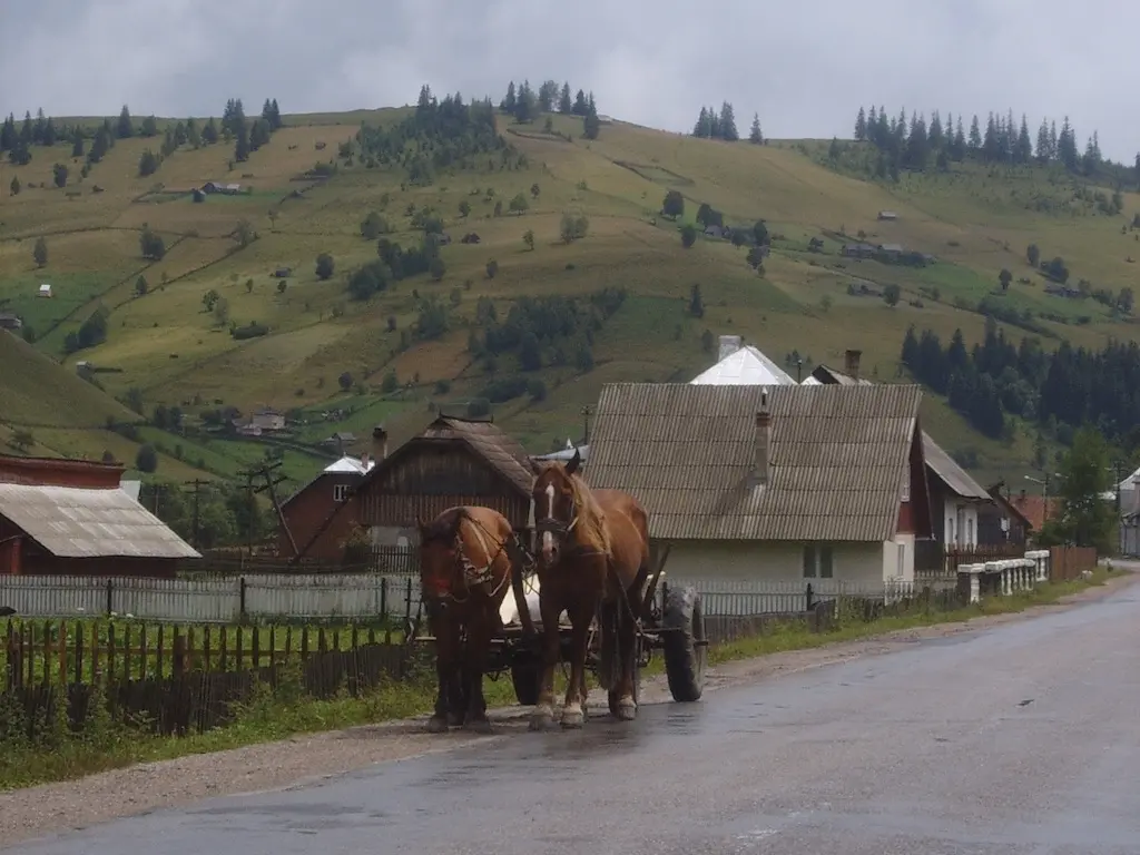 Bucovina