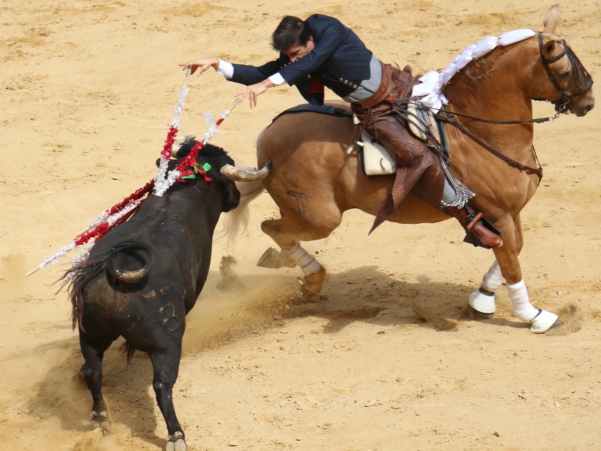 A horse with a matador fighting a bull