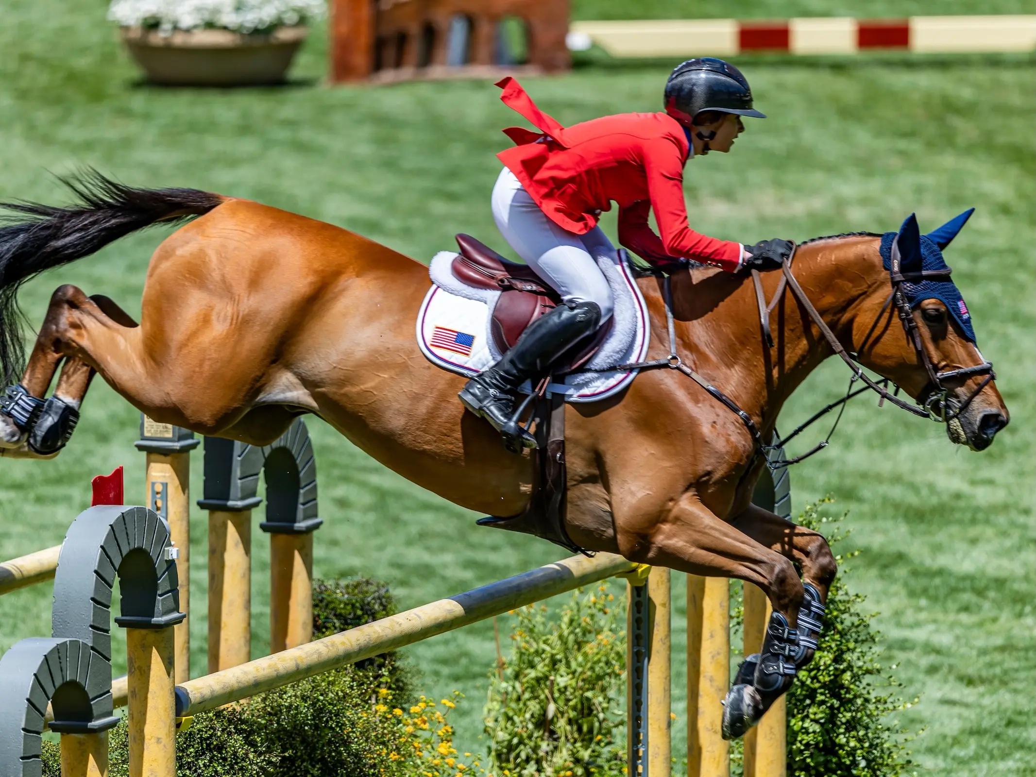 Horse jumping a fence