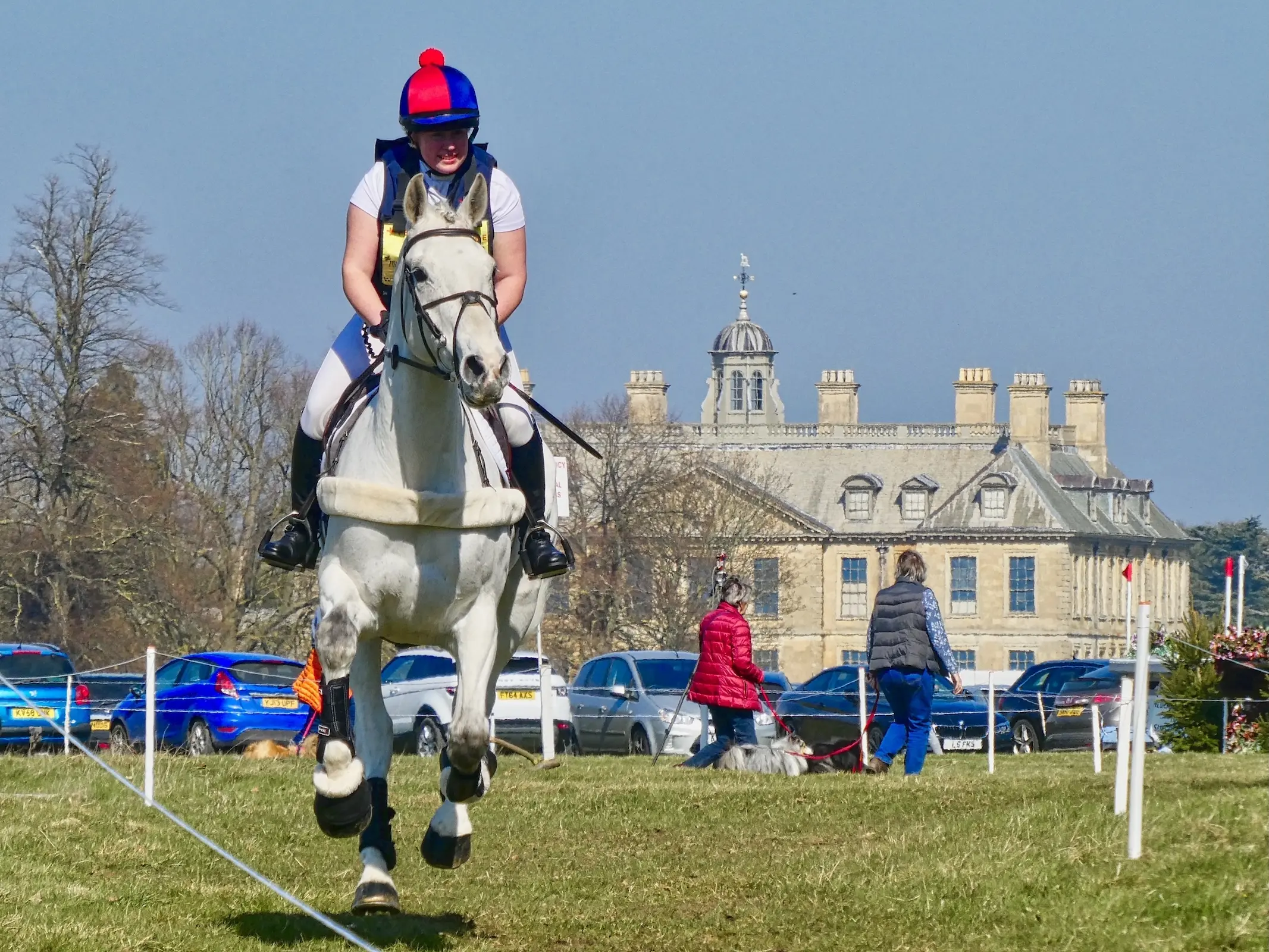 Horse jumping a fence