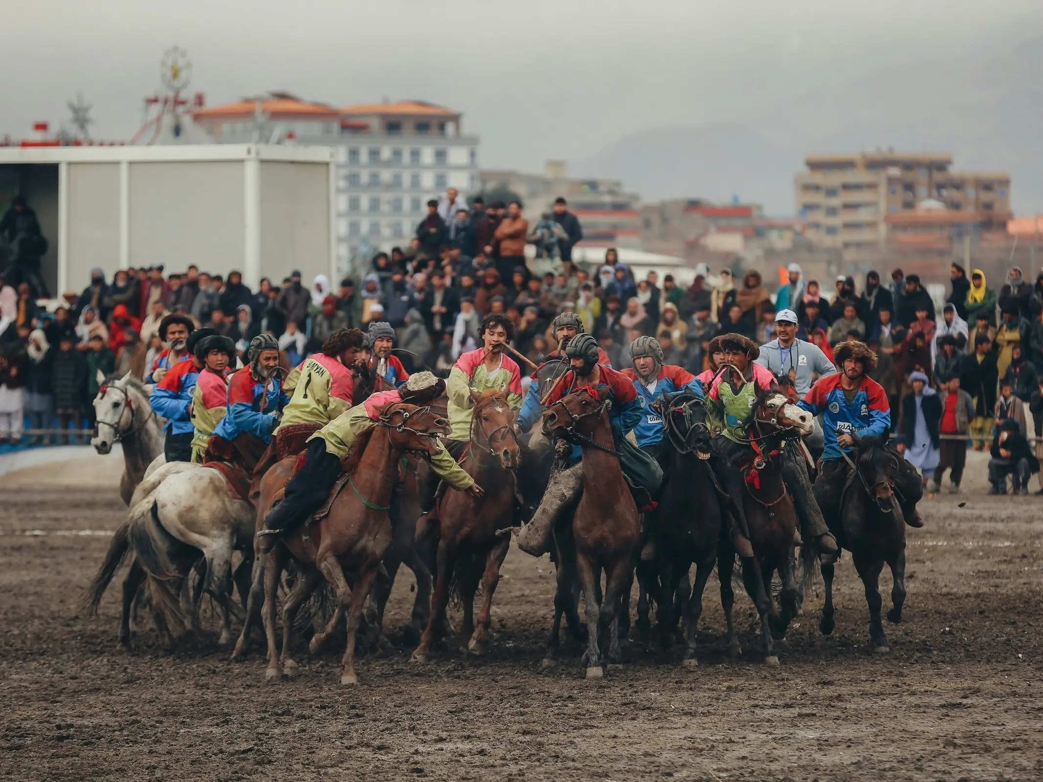 Buzkashi Horse