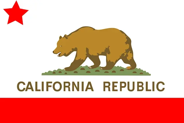 California Flag