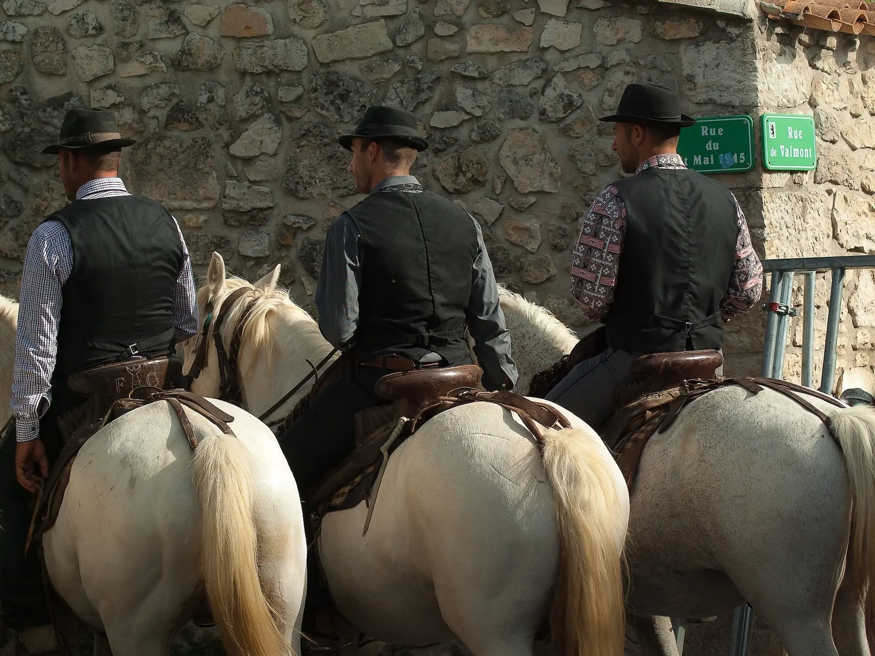 Three men on white horses with their back to the camera