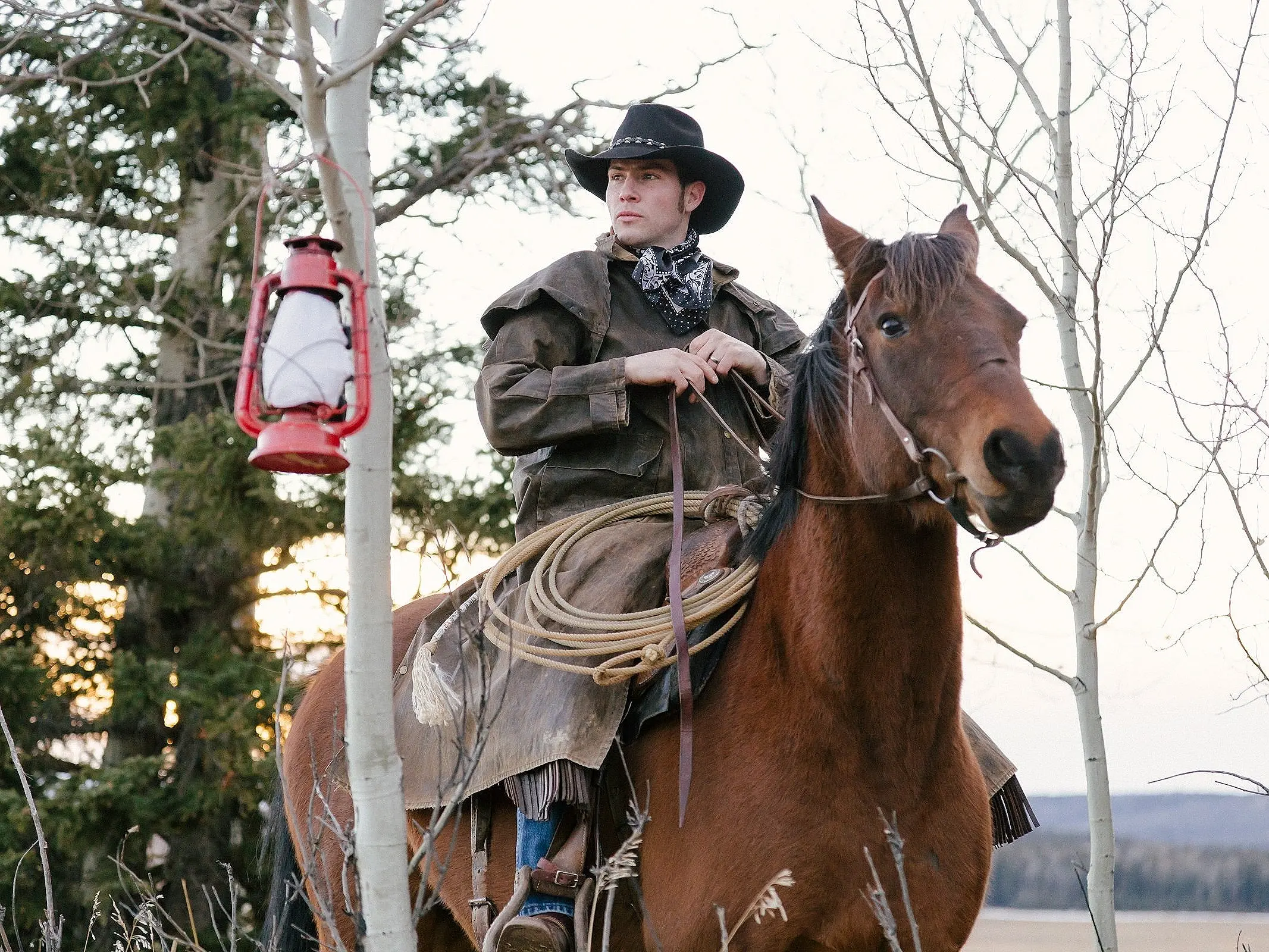 Canadian Cutting Horse