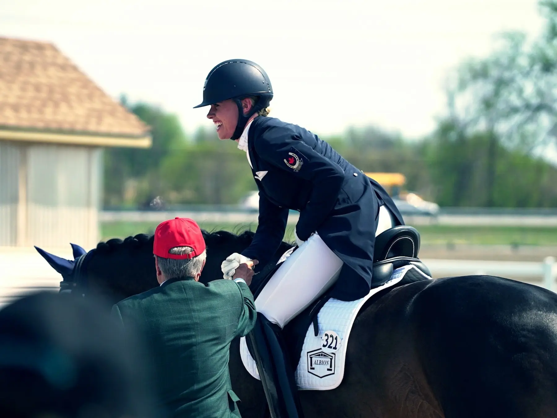 Canadian Sport Horse