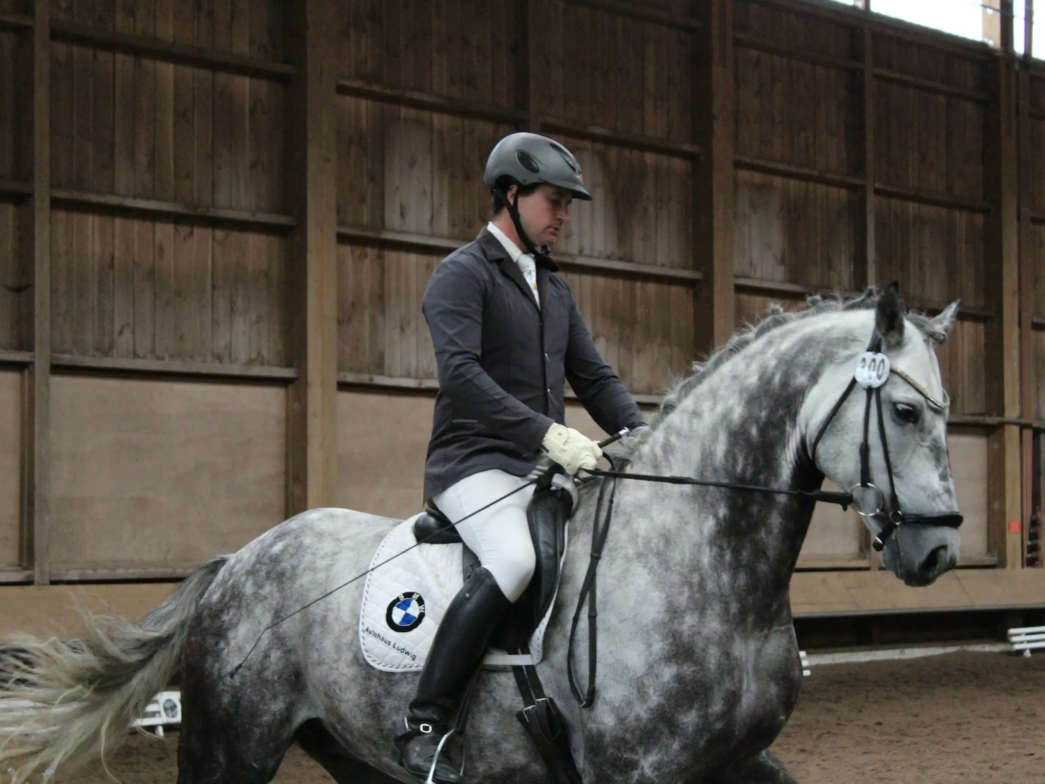 Canadian Sport Horse