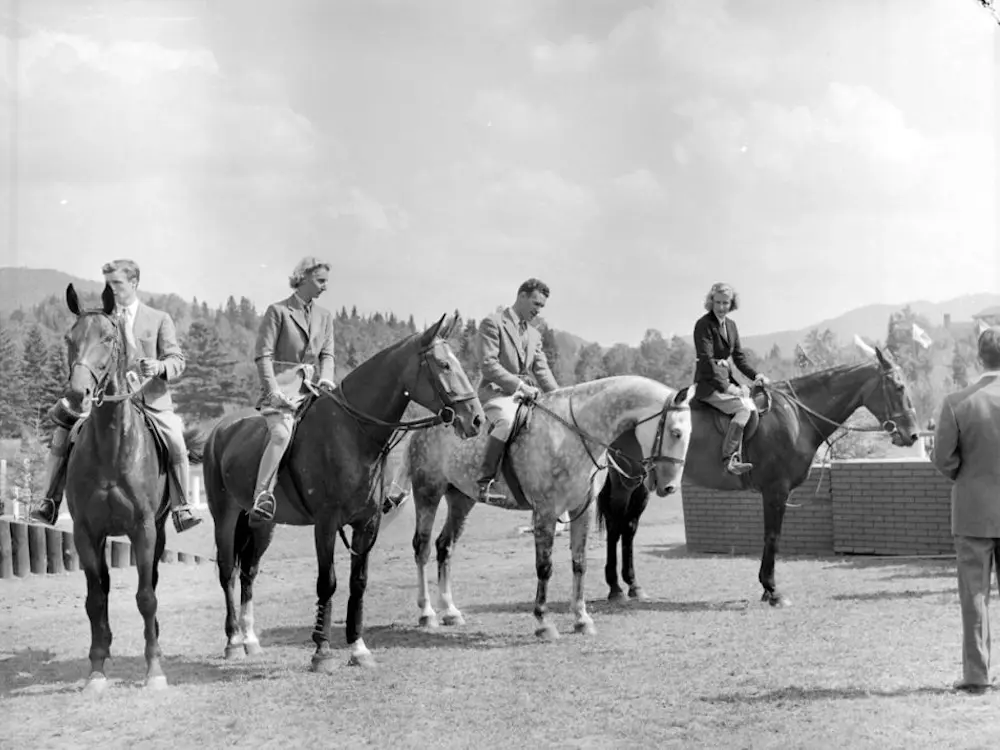 Canadian Sport Horse