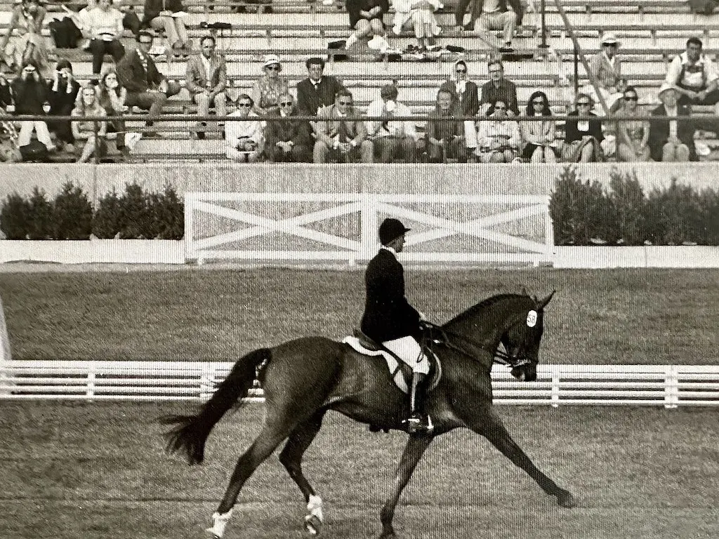 Canadian Sport Horse