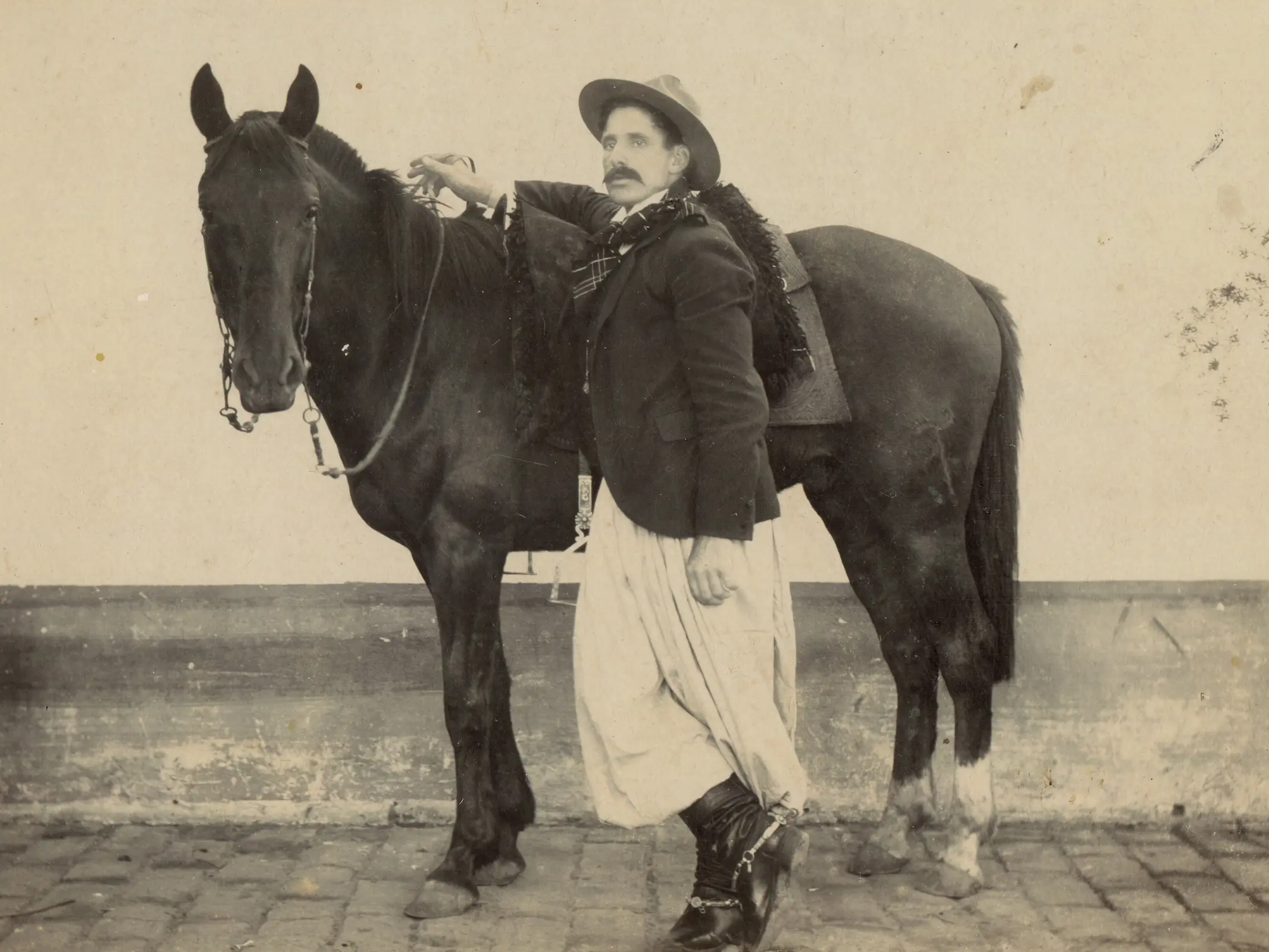 Canelon Horse