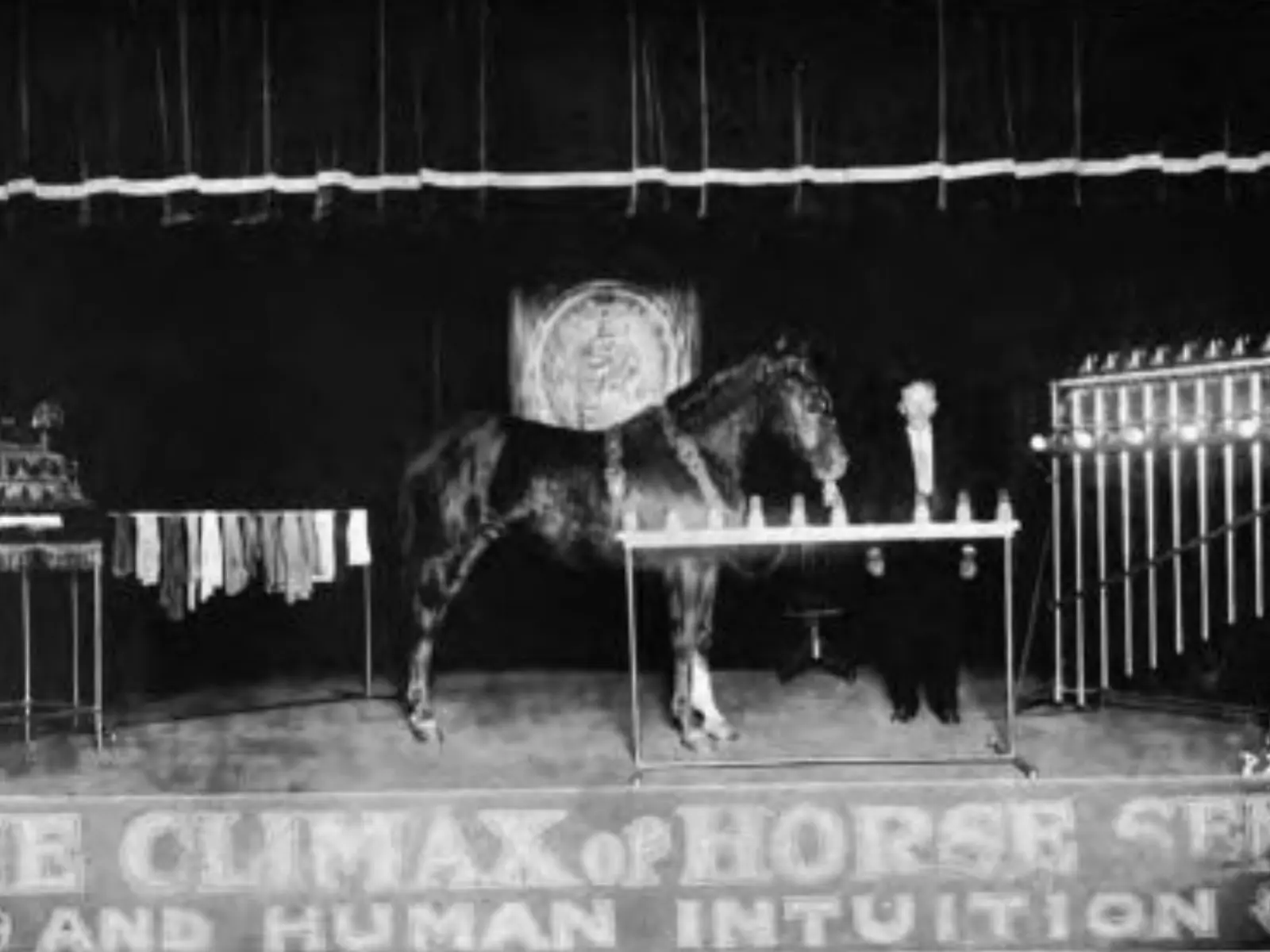 Man on horseback