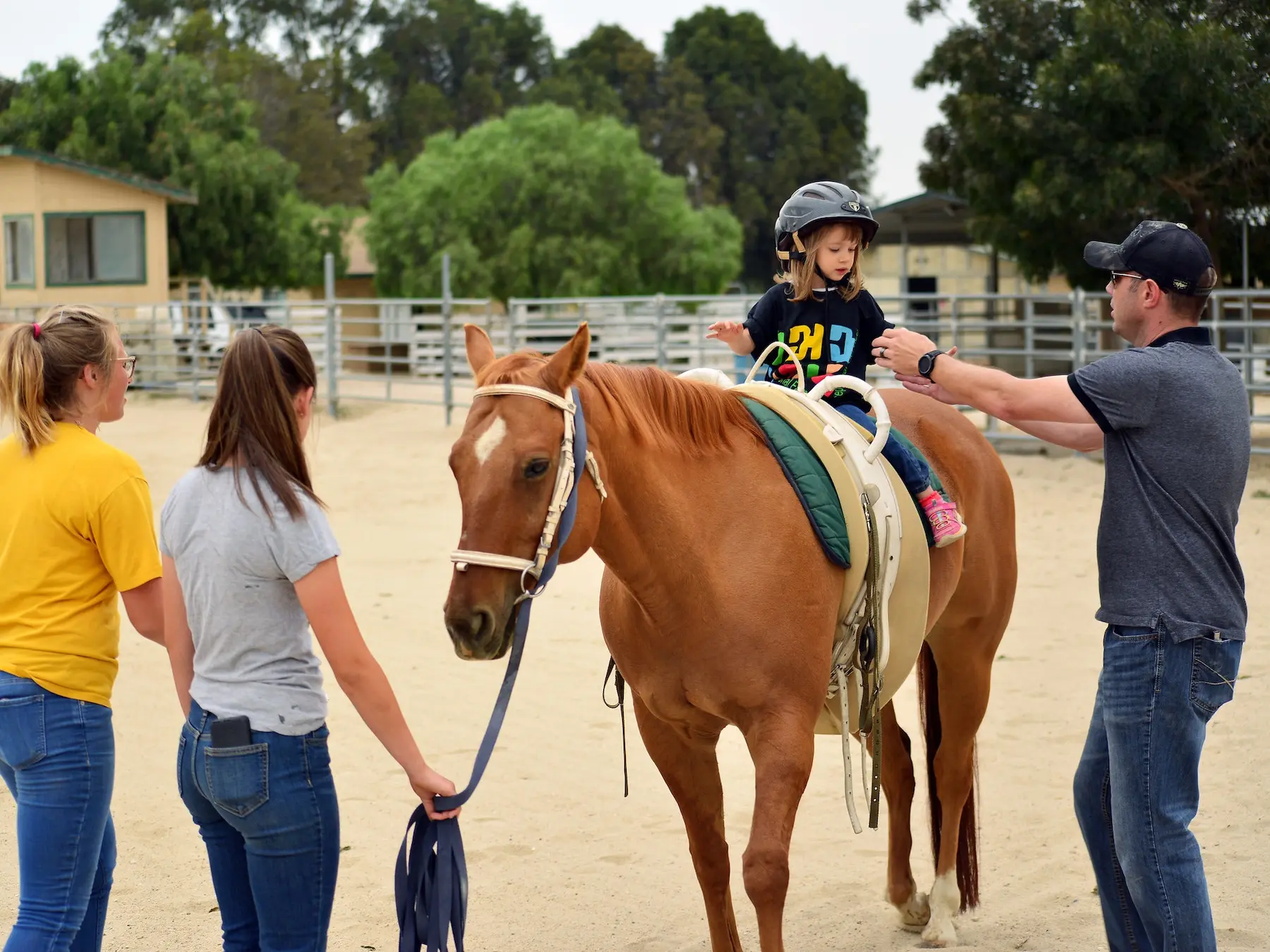 Horse charities