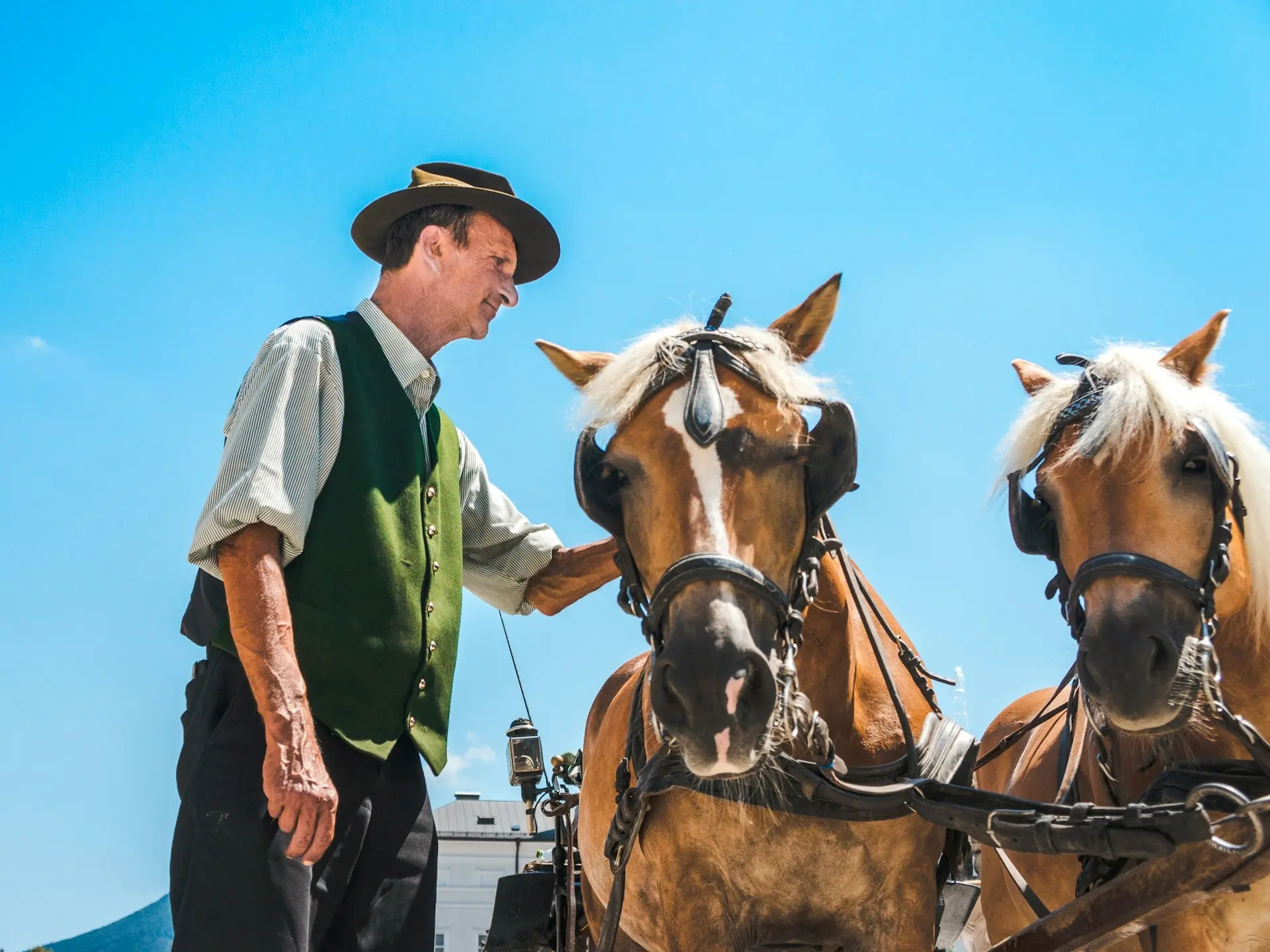 Man petting his a horse harnessed to a carriage