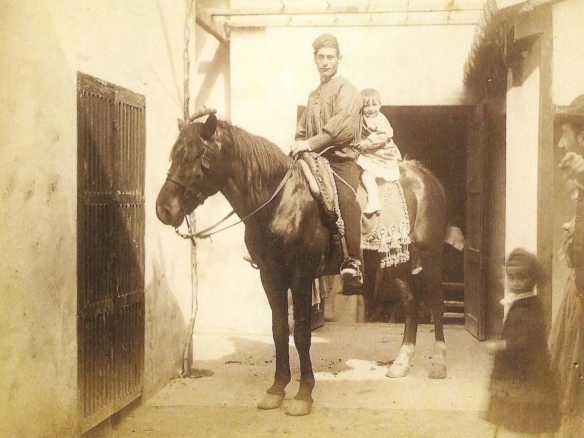 Catalan Horse