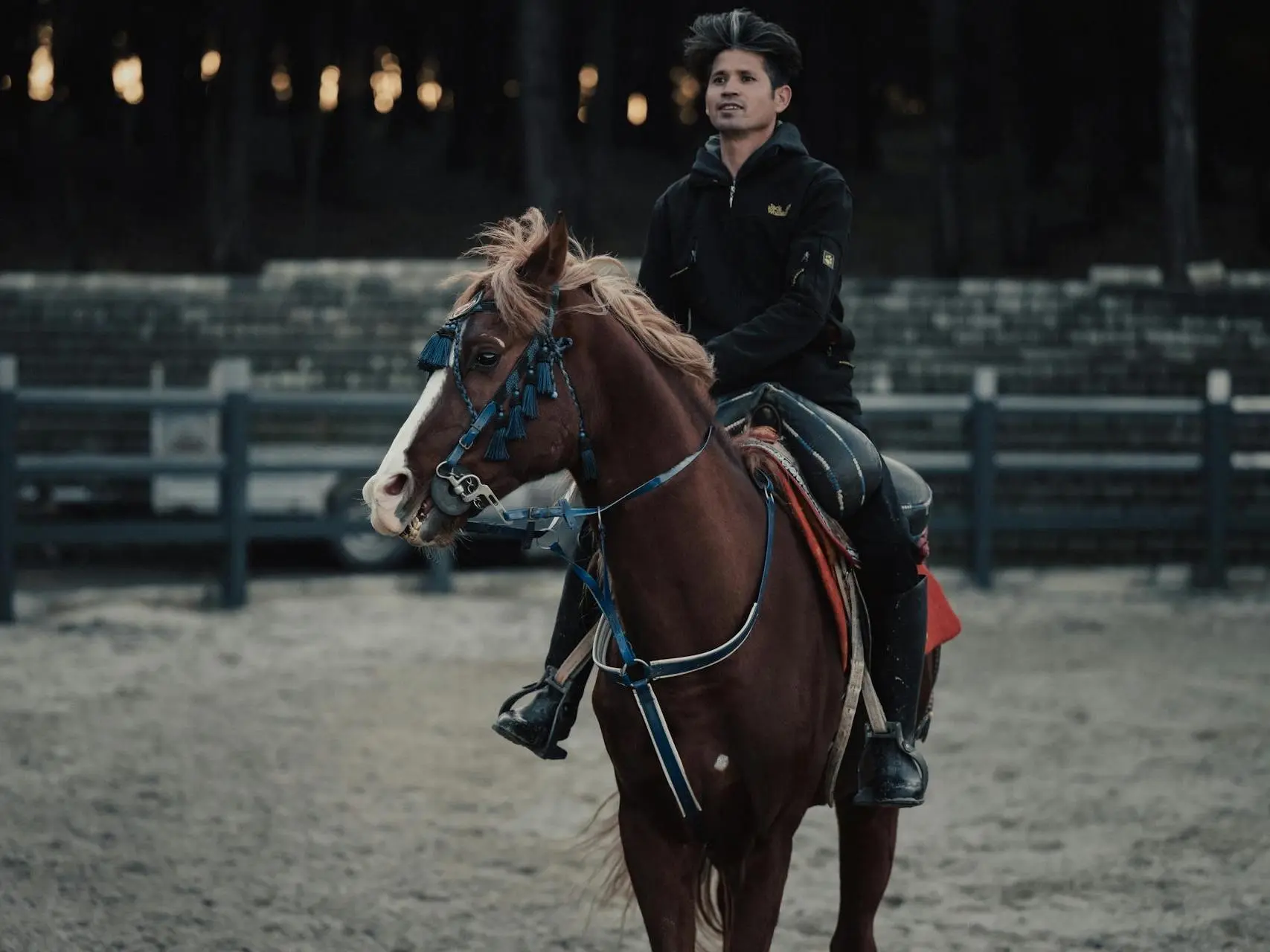 Chestnut flaxen horse