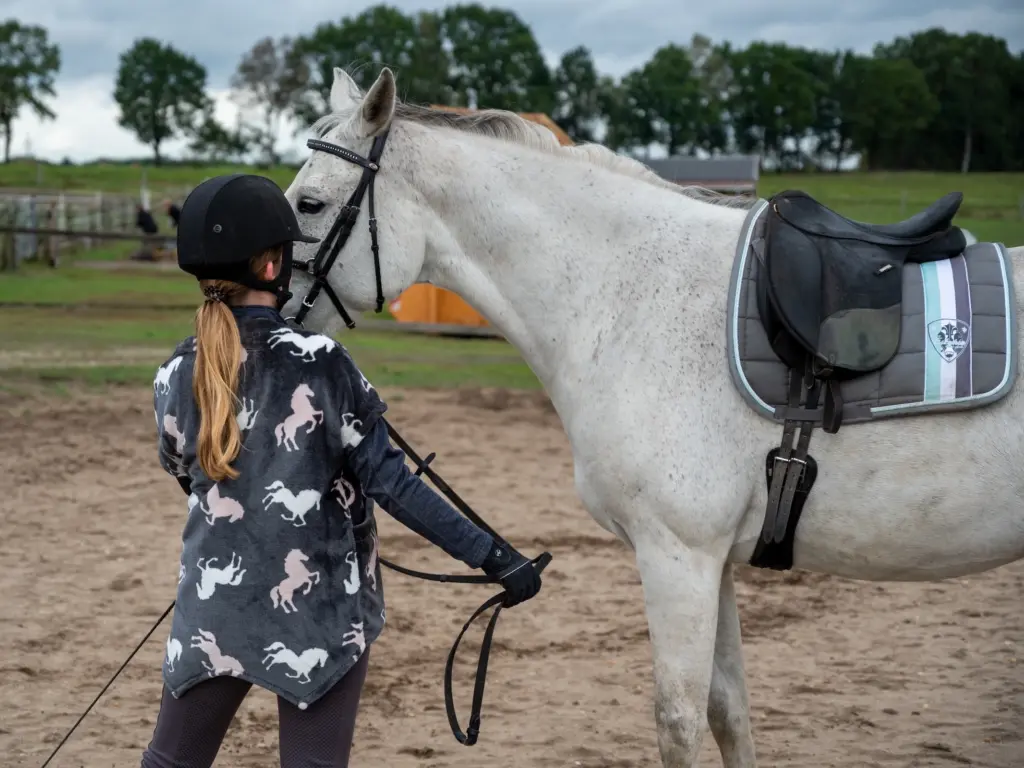 A young girl with her horse