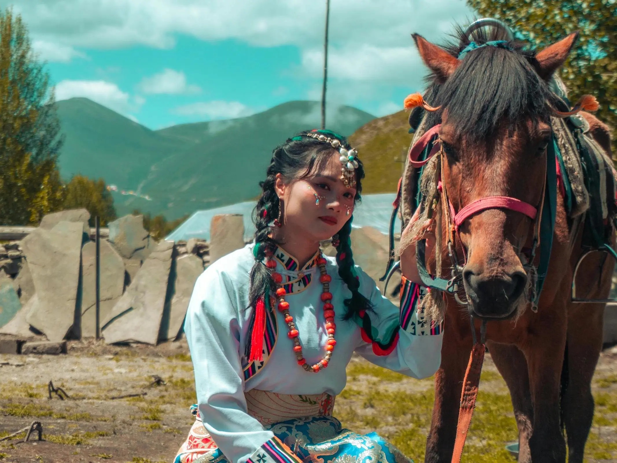 Horse in China