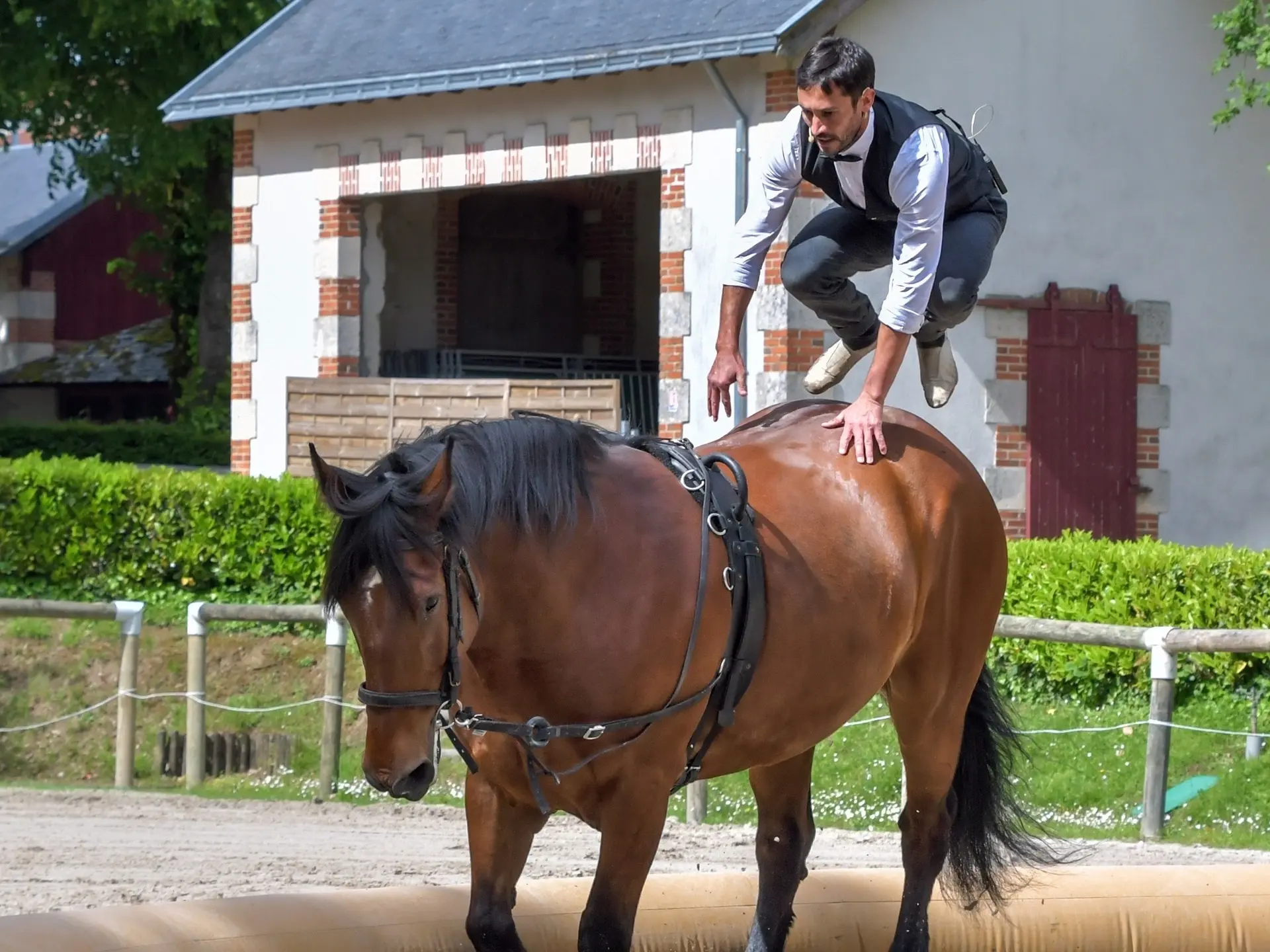 Man standing on the back of a horse