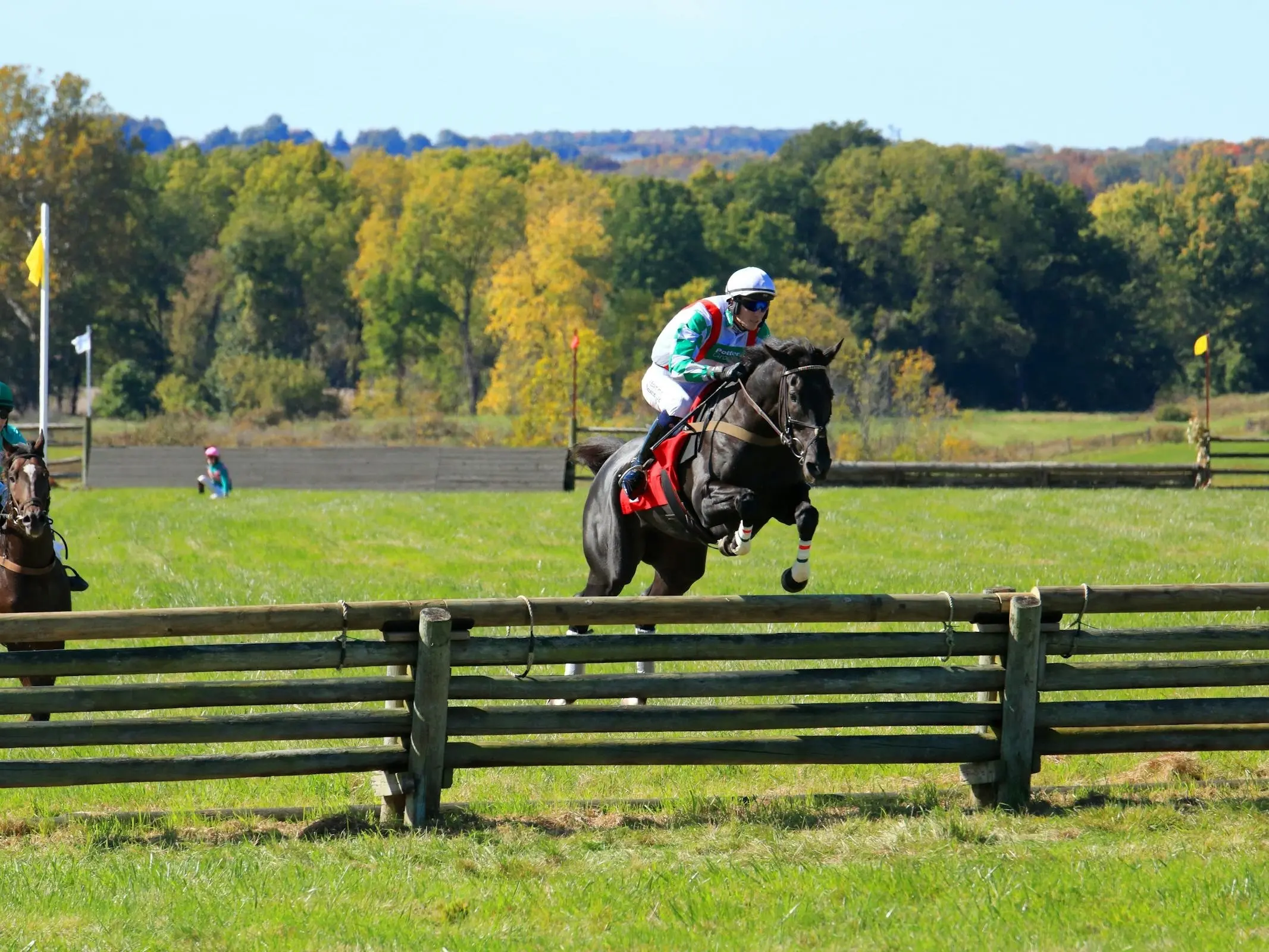 Horse jumping a fence