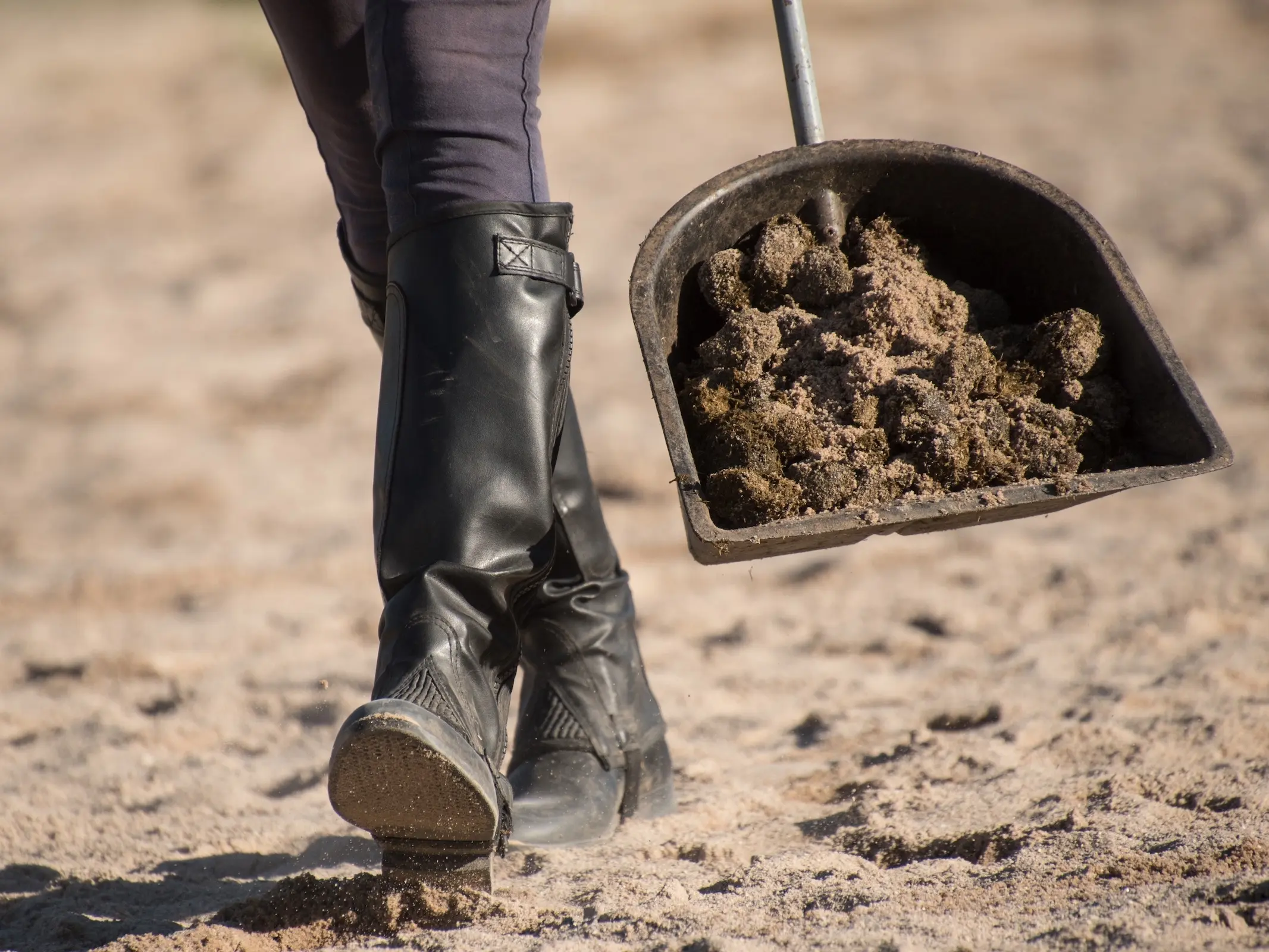 Girl carrying shovel of horse poo