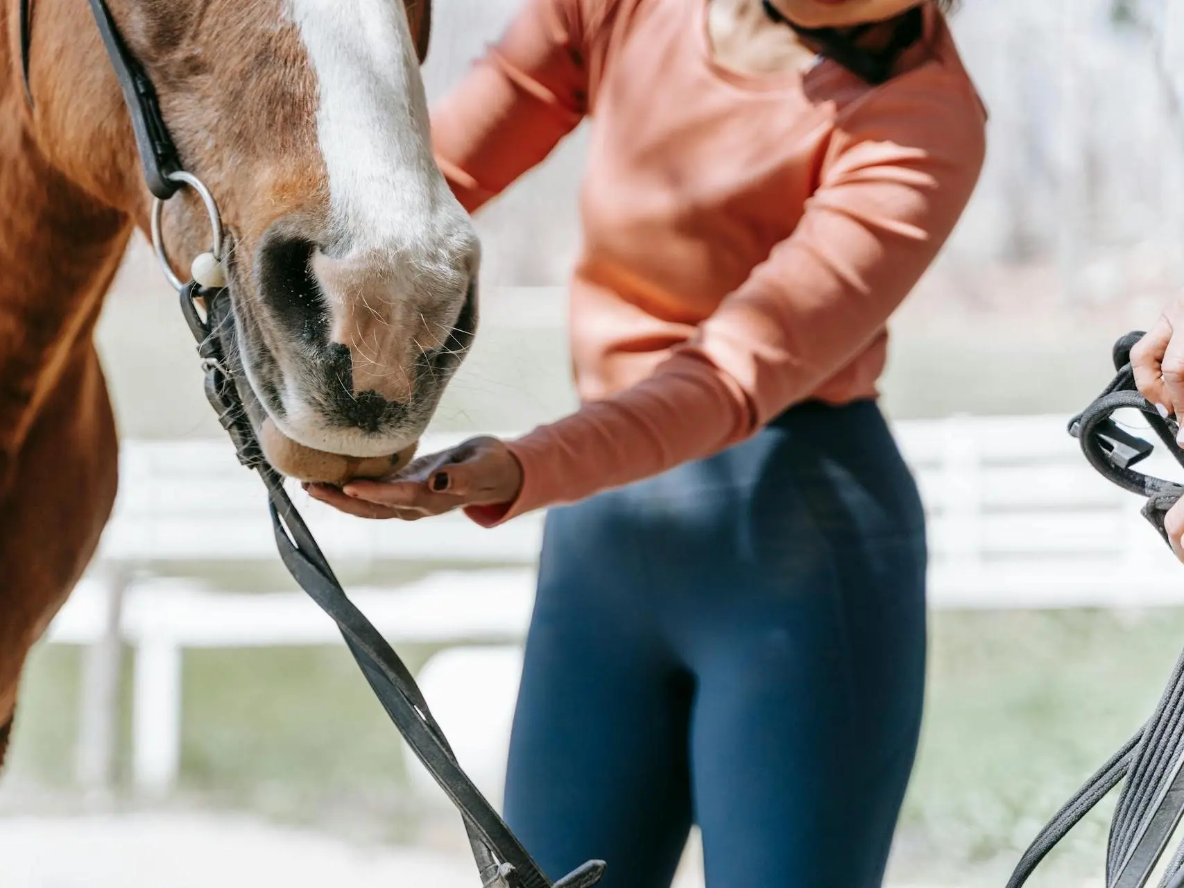 Woman in a dress on a horse