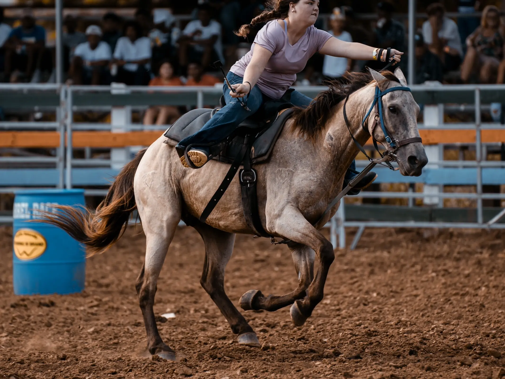 Horse with colored socks