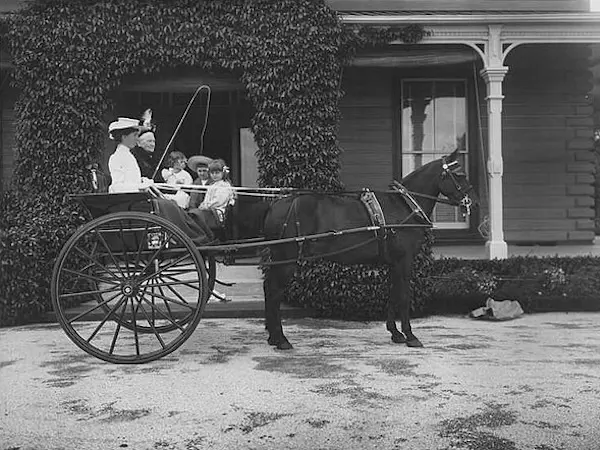 Comet Horse