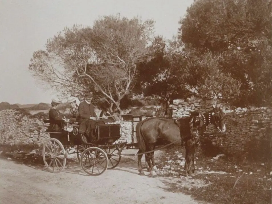 Corsican Horse 