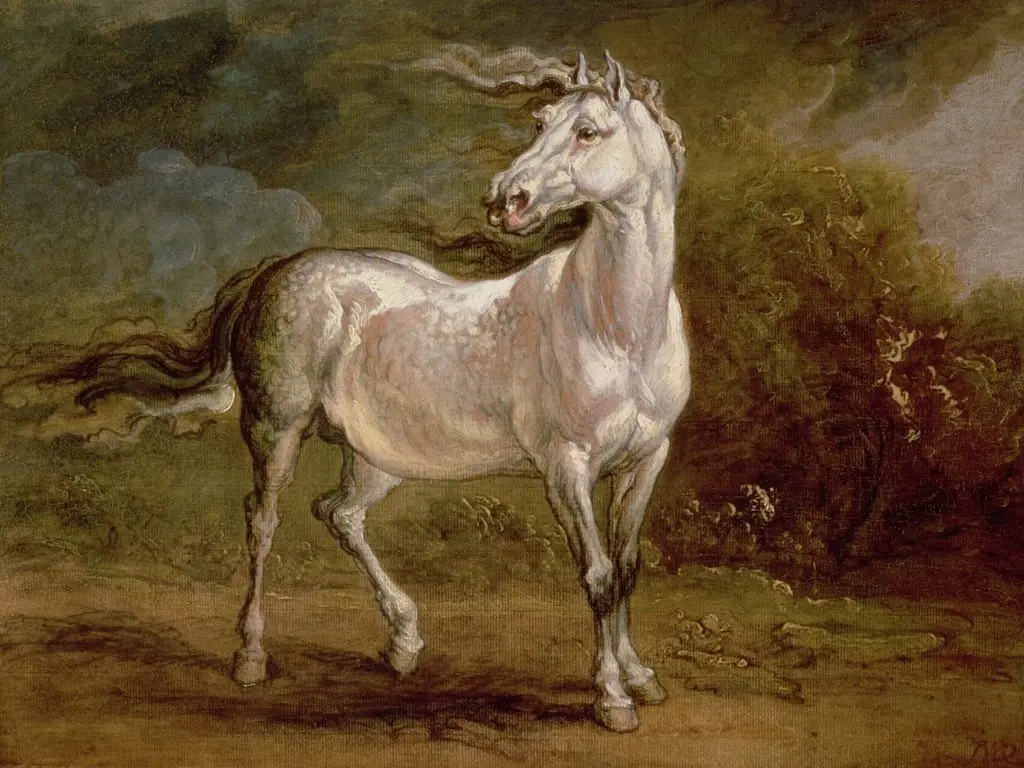 Cossak Horse