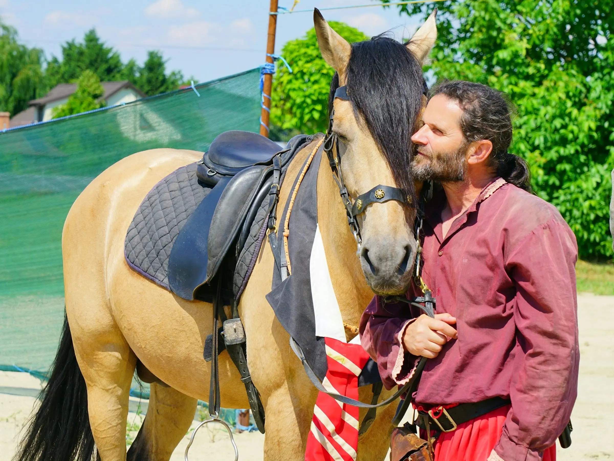 Buckskin horse