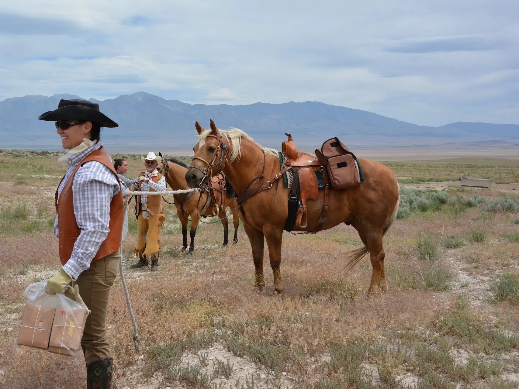 Palomino horse