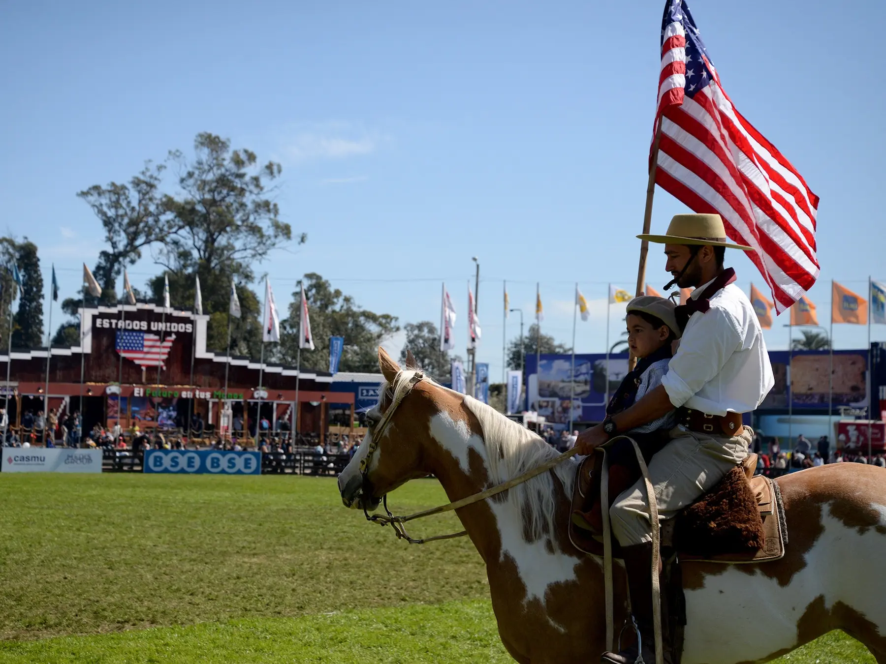 Pinto cream horse