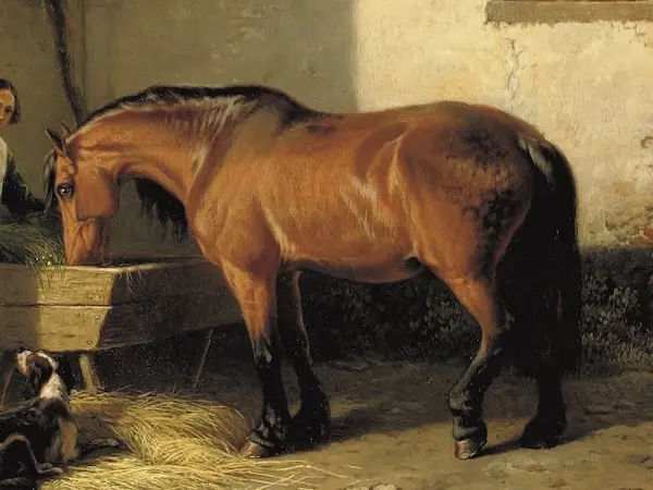 Cremonese Horse