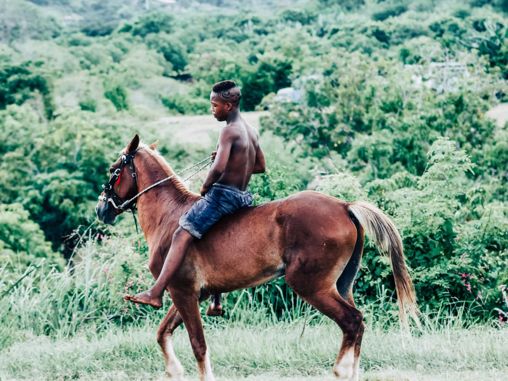 Cuban Paso