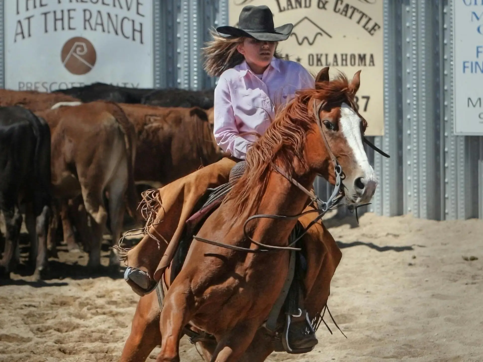 Woman on a cutting horse