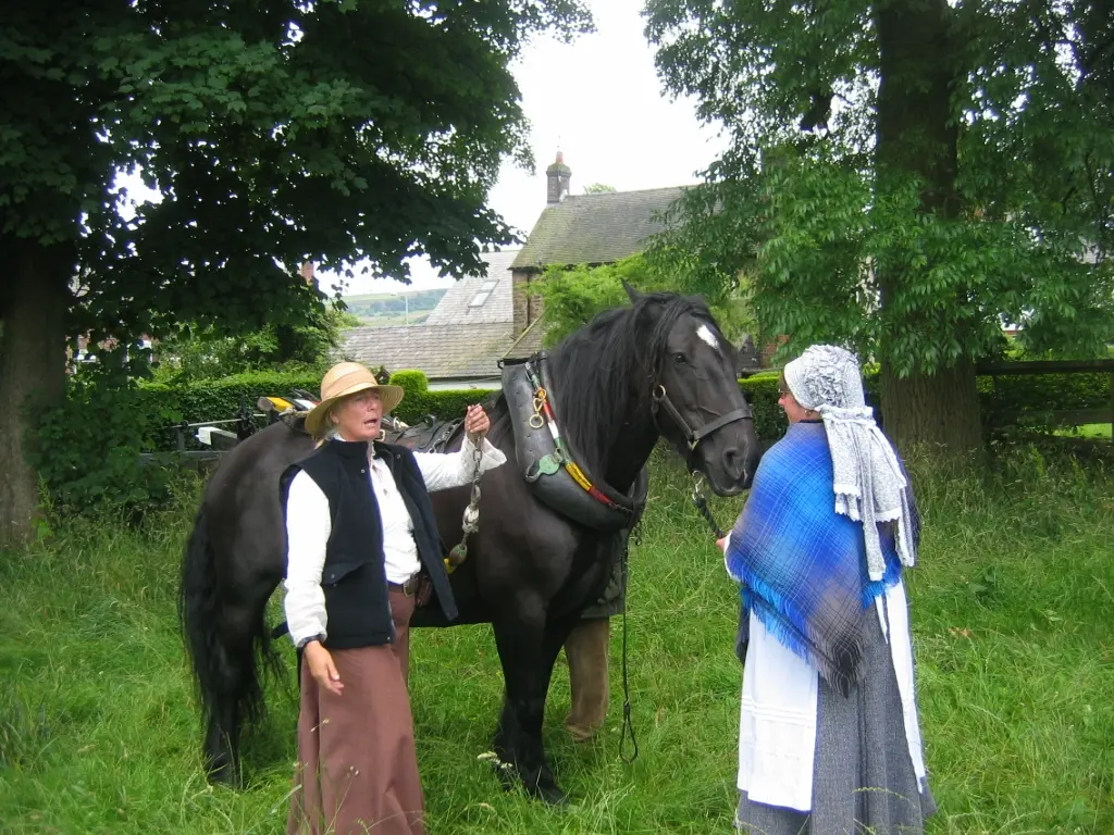 Dales Pony