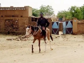 Western Sudan Pony