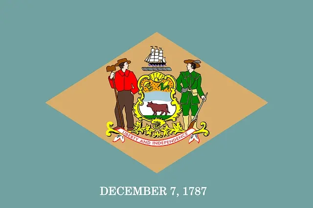 Delaware Flag